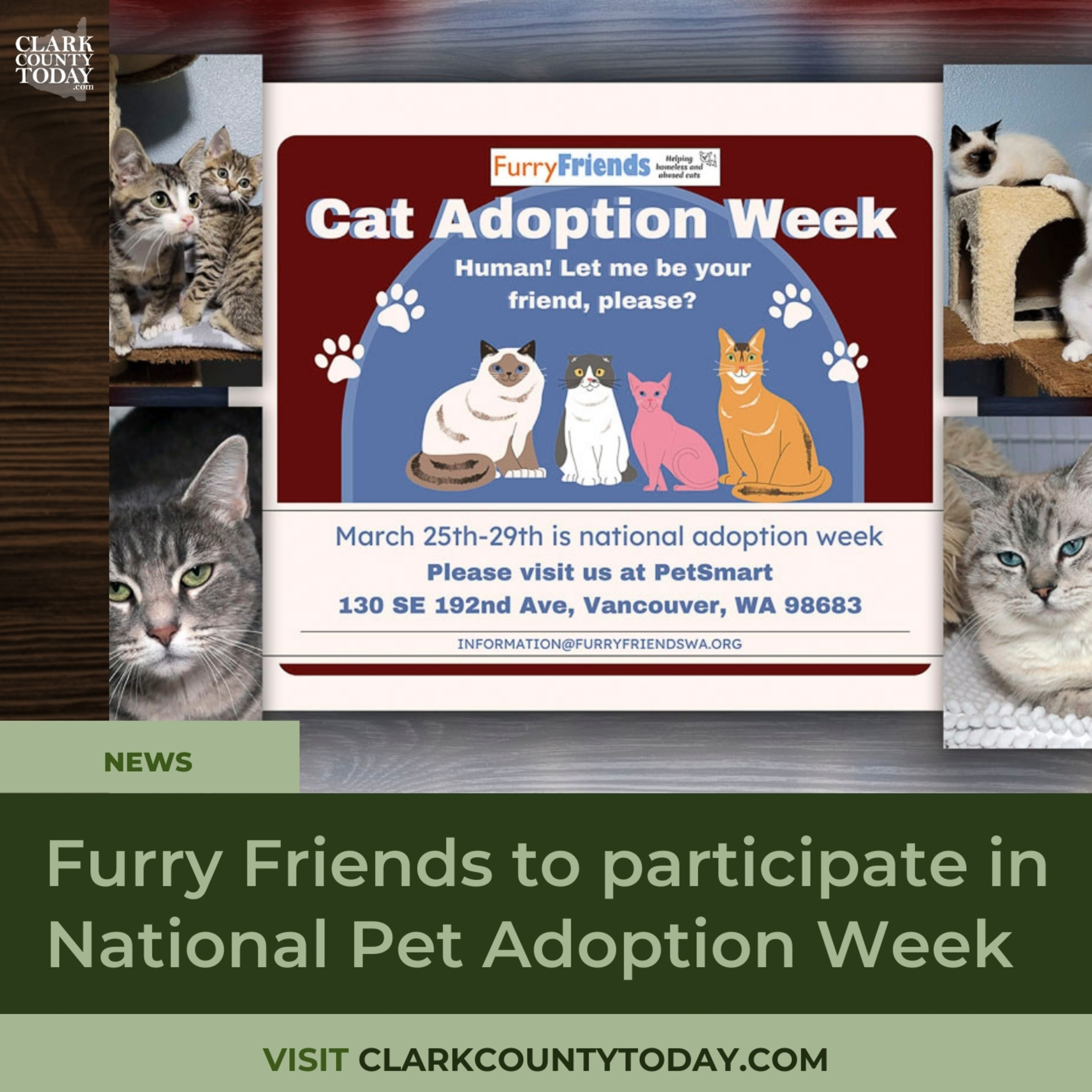 Furry Friends Brings Cat Adoption Event to East Vancouver PetSmart