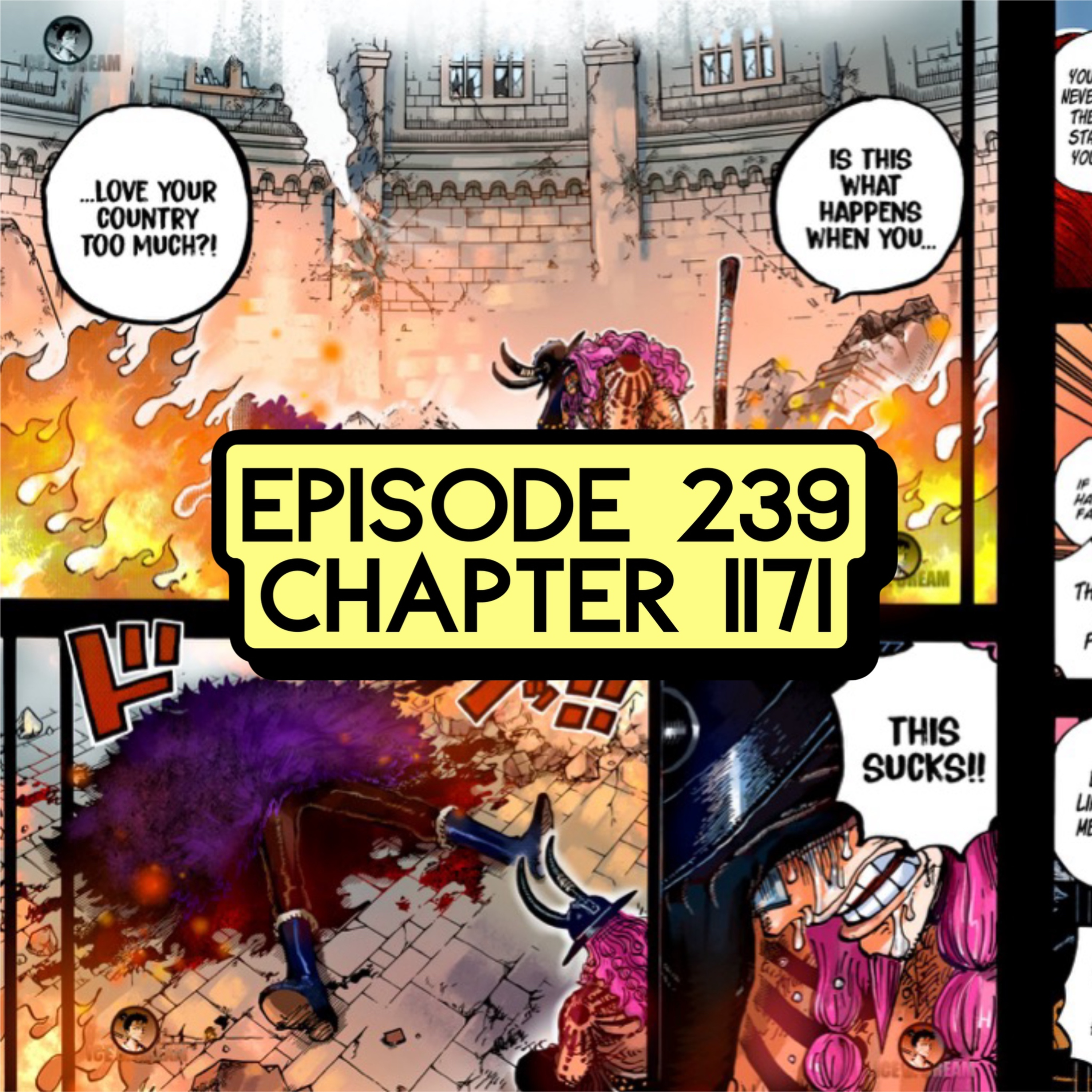 Episode 239: ONE PIECE Chapter 1171 Review