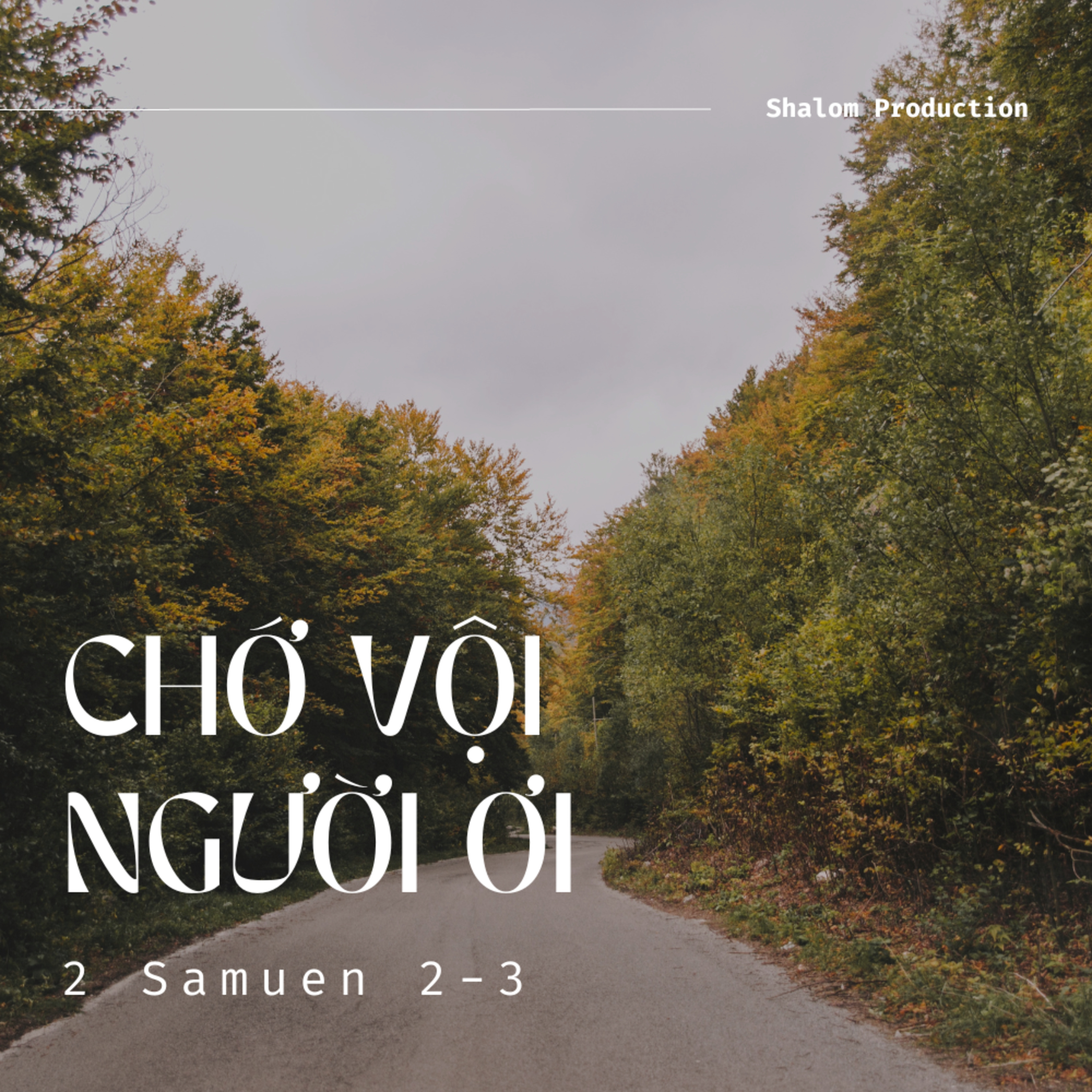 Shalom Production