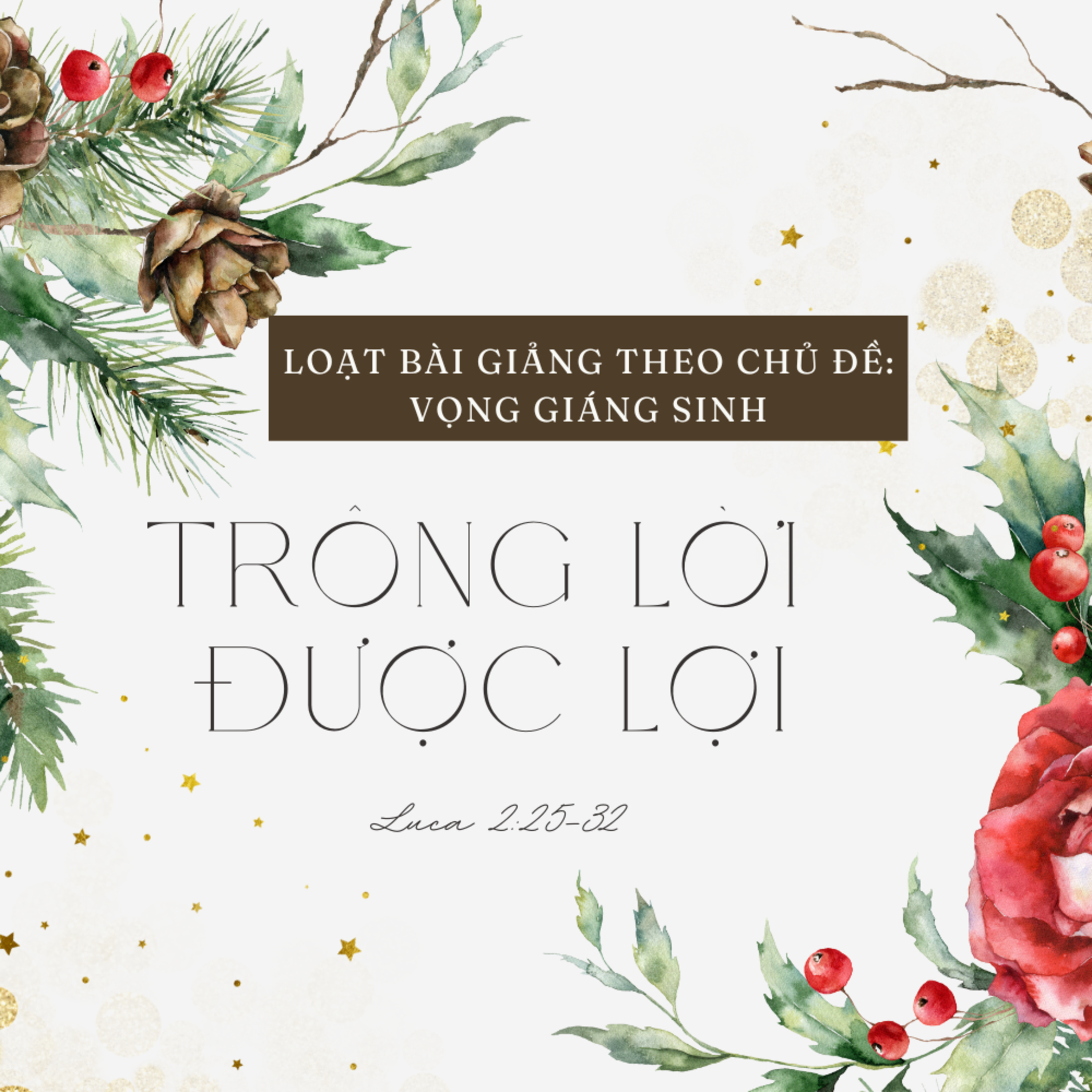 Luca 2:25-32 | TRÔNG LỜI, ĐƯỢC LỢI || Mục Sư Bùi Văn Ba episode artwork