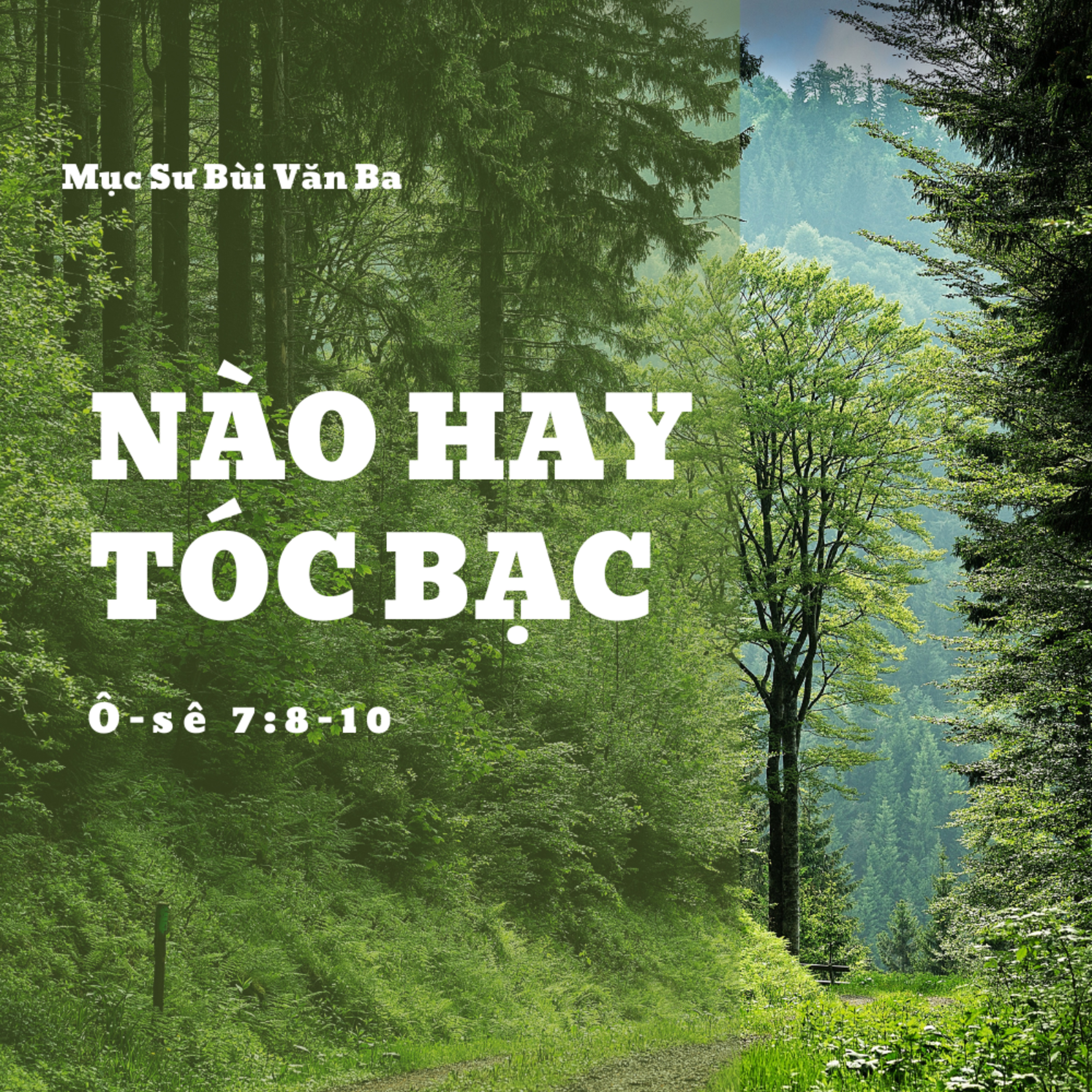 Ose 7:8-10 | NÀO HAY TÓC BẠC || Mục Sư Bùi Văn Ba episode artwork