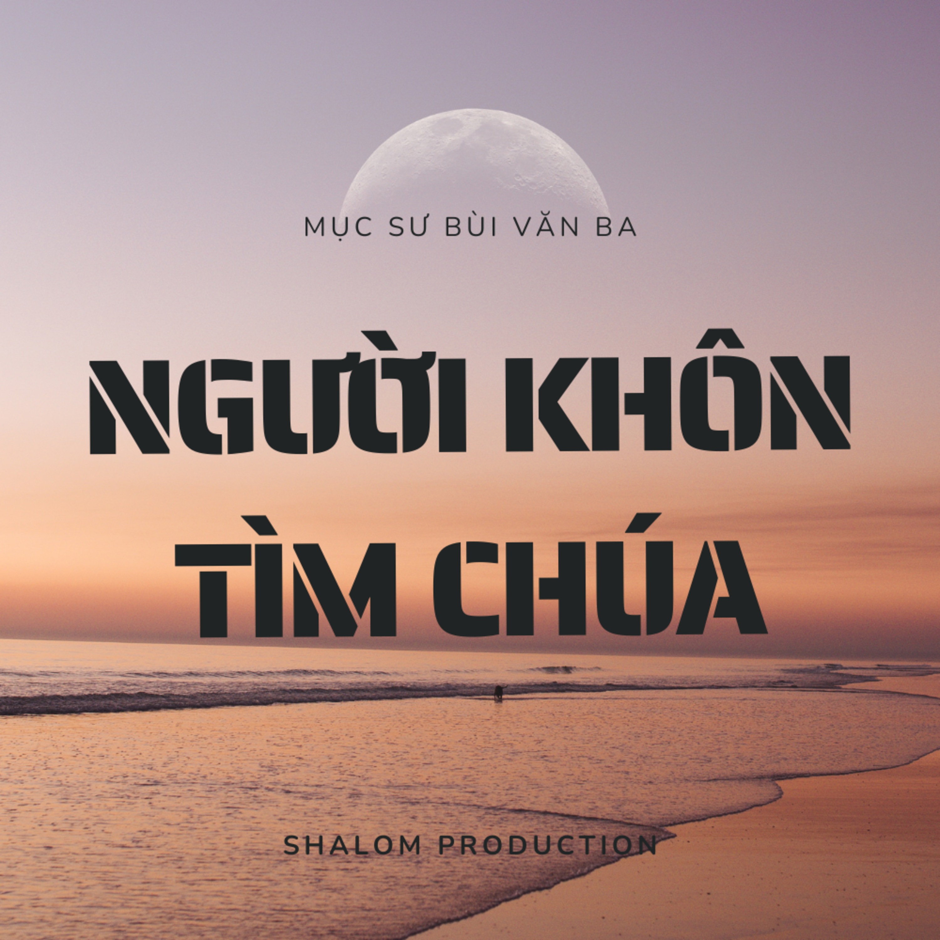 Mathiơ 2:1-12 | NGƯỜI KHÔN TÌM CHÚA || Mục Sư Bùi Văn Ba episode artwork