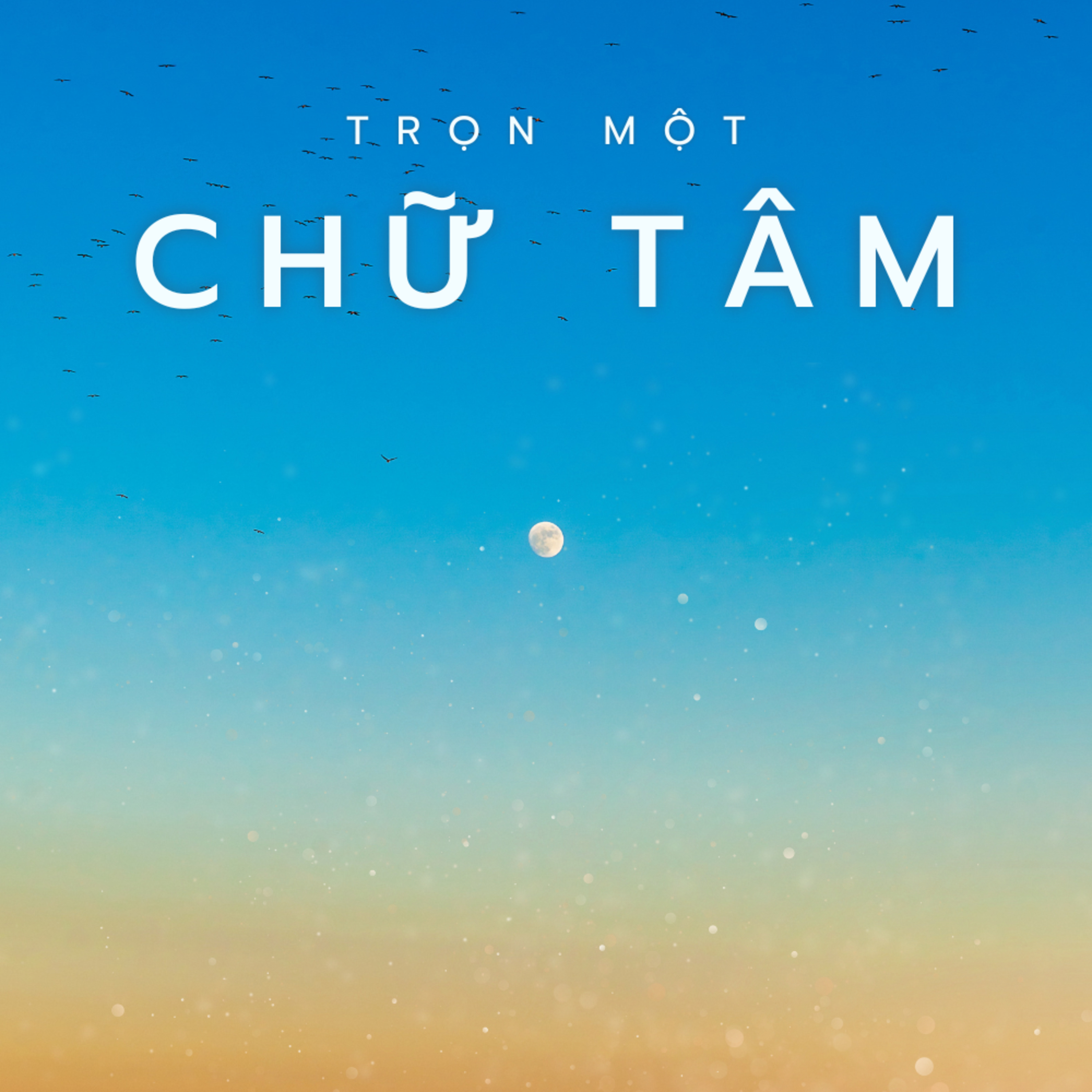 Luca 1:26-56 | TRỌN MỘT CHỮ TÂM || Mục Sư Bùi Văn Ba episode artwork