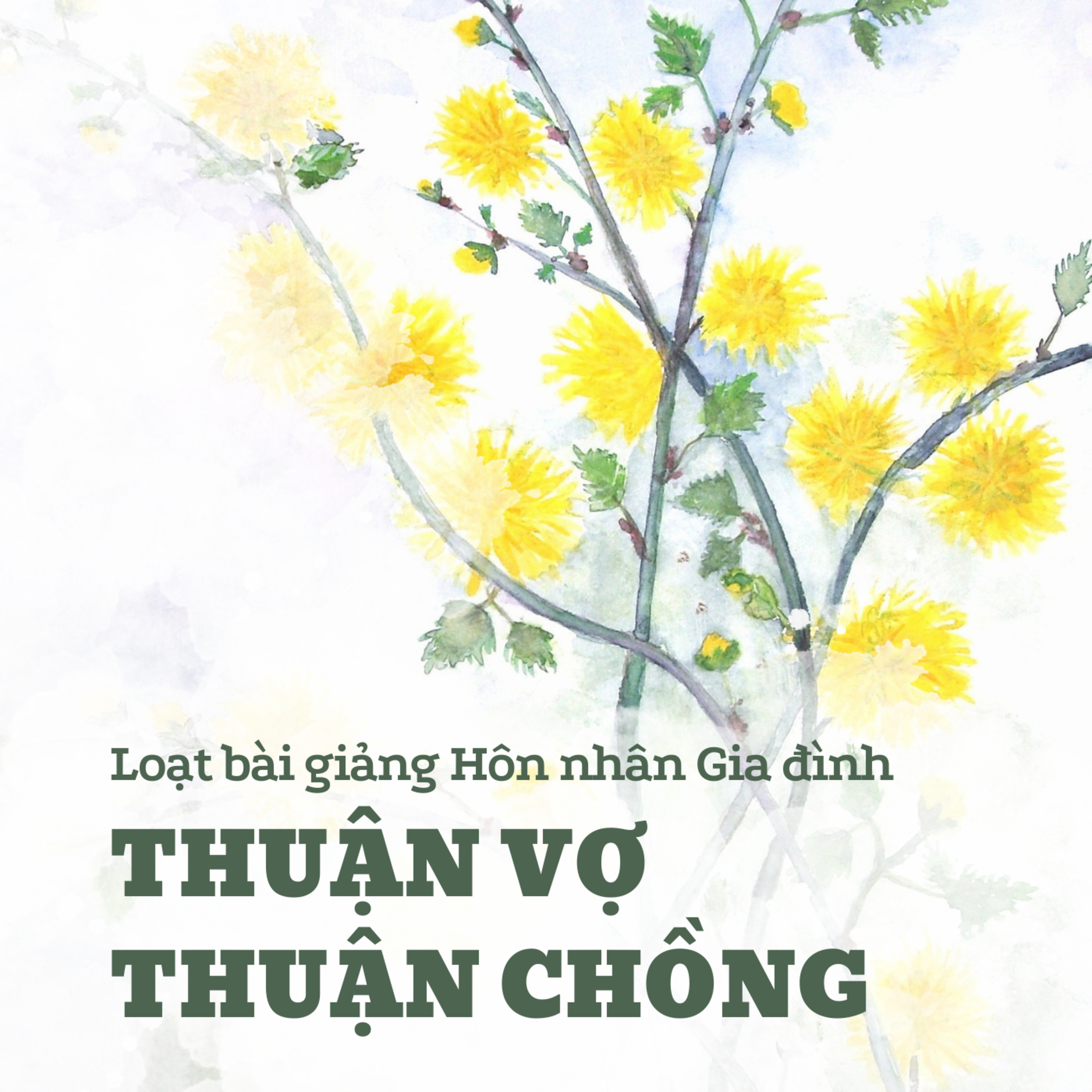 Ê-phê-sô 5:21-33 | THUẬN VỢ THUẬN CHỒNG || Mục Sư Bùi Văn Ba episode artwork