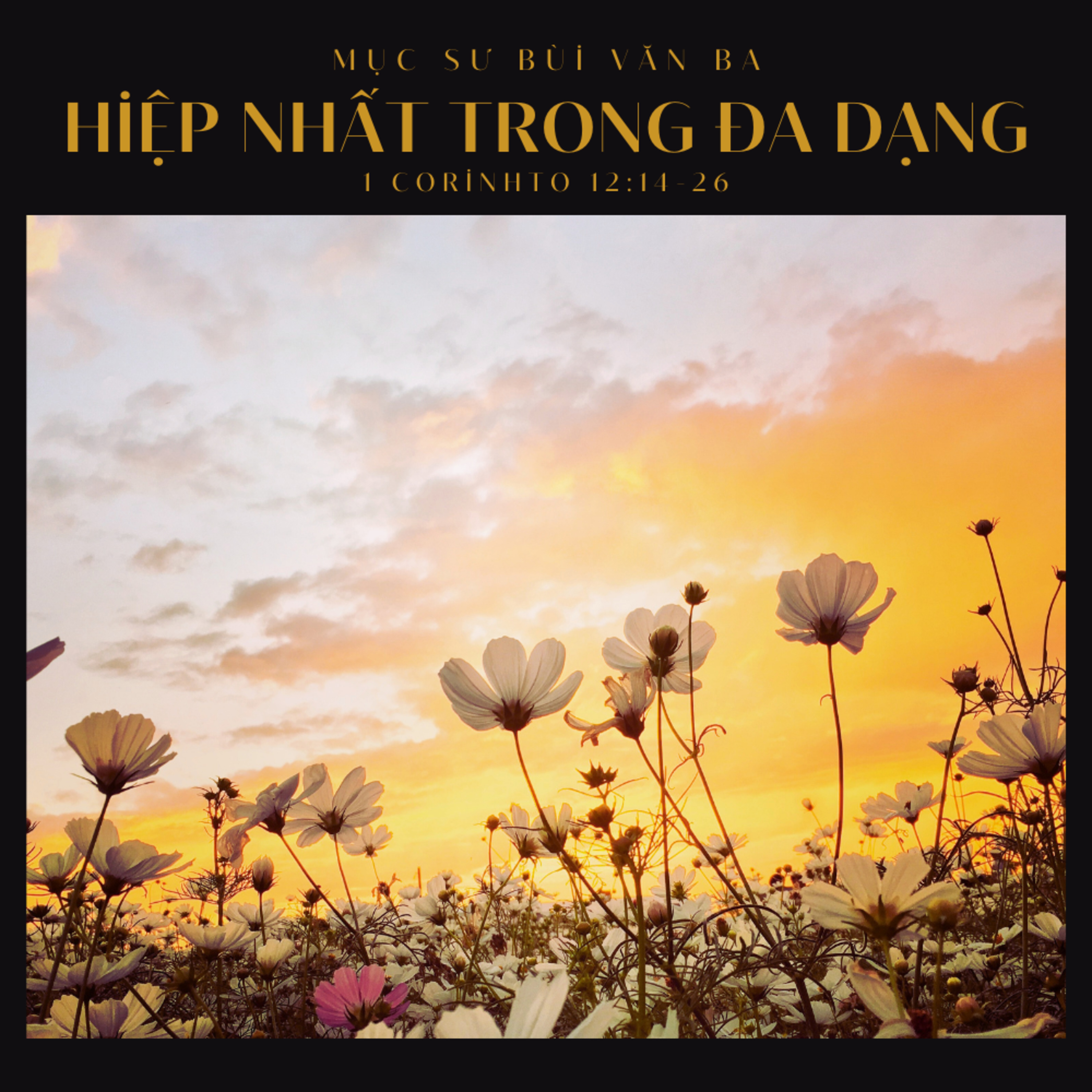 1 Corinhto 12:14-26 | HIỆP NHẤT TRONG ĐA DẠNG || Mục Sư Bùi Văn Ba episode artwork