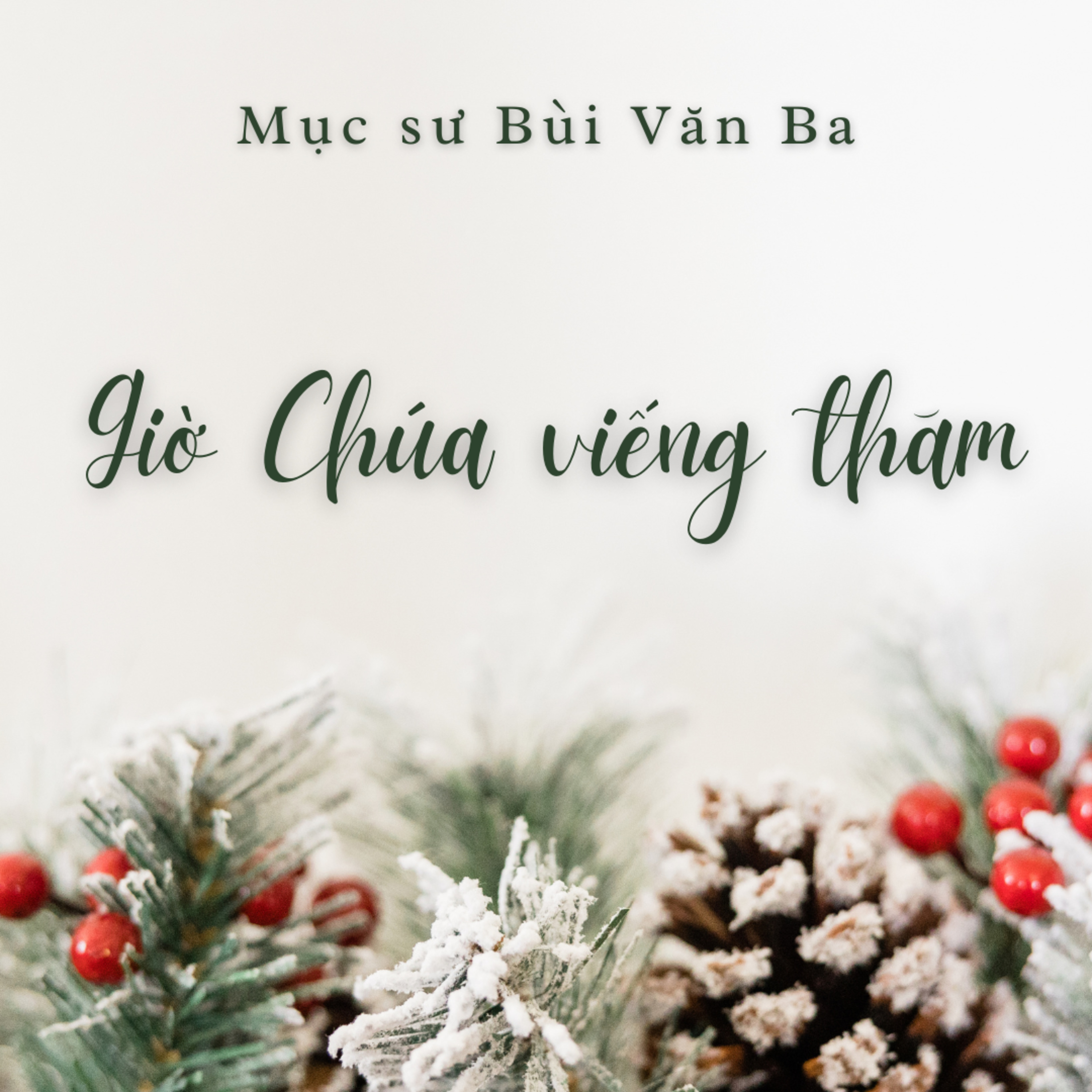 Luca 1:5-17 | GIỜ CHÚA VIẾNG THĂM || Mục Sư Bùi Văn Ba episode artwork