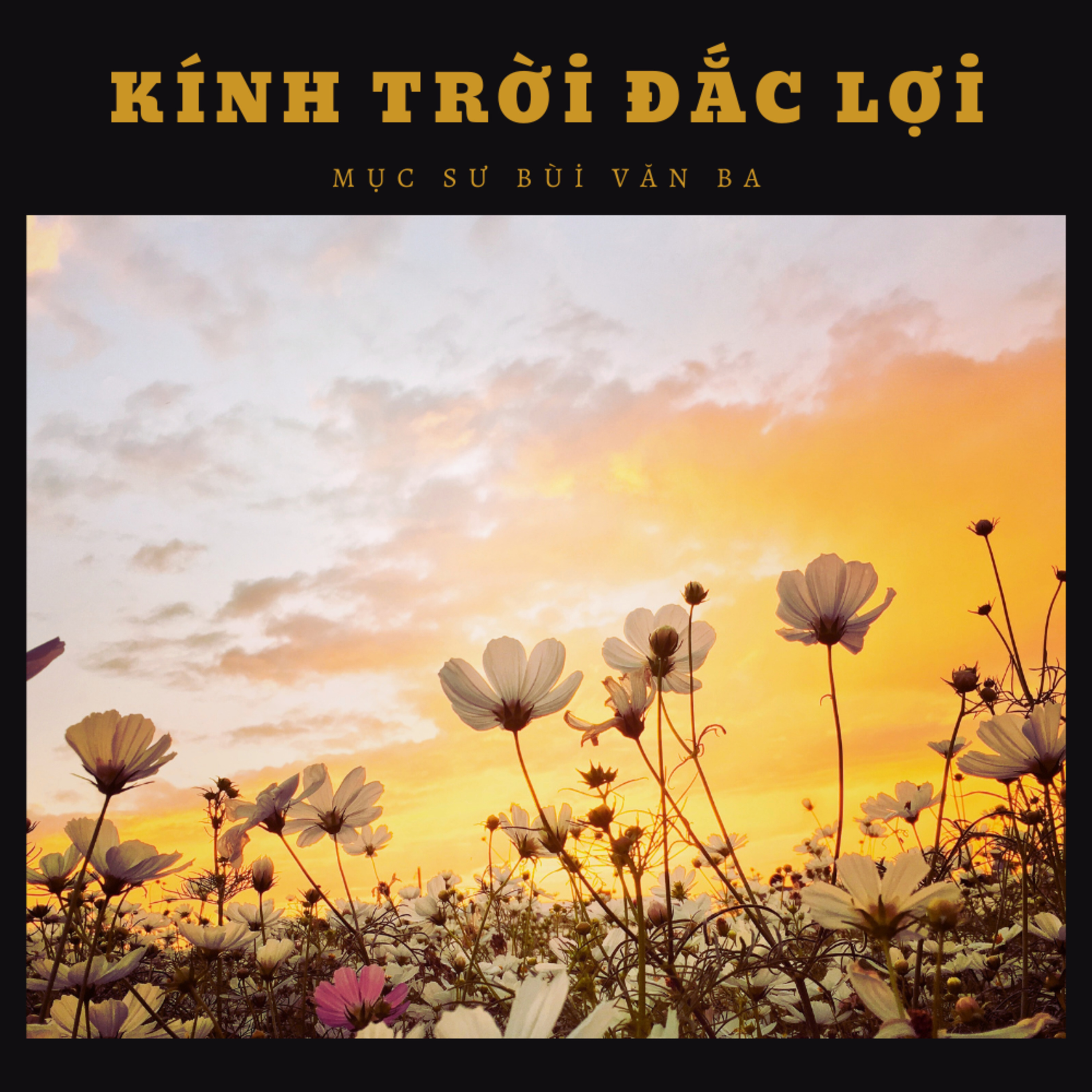 Châm Ngôn 3:9-10 | KÍNH TRỜI ĐẮC LỢI || Mục Sư Bùi Văn Ba episode artwork