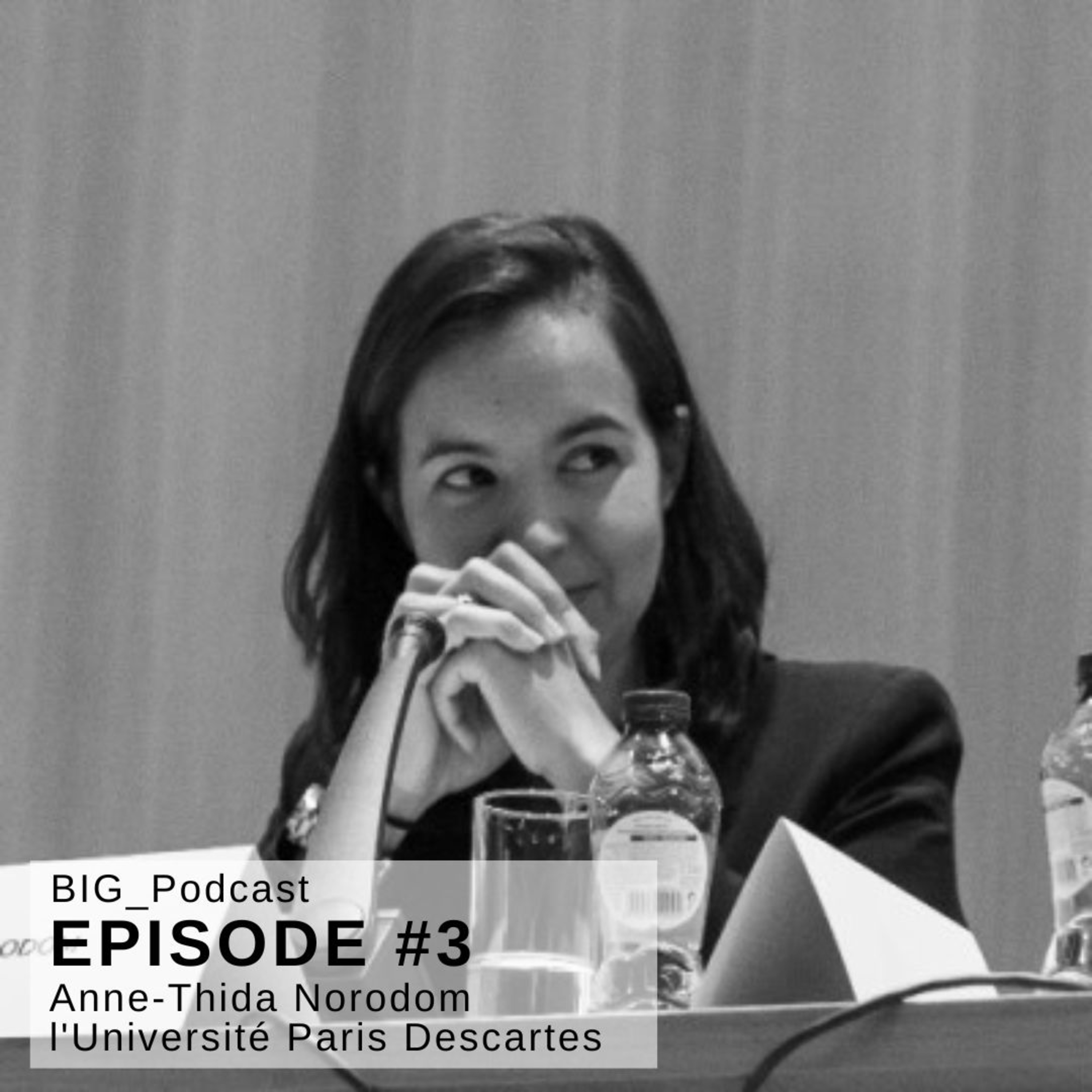 #3 BIG Podcast - "Les frontières à l'heure d'Internet" - With: Anne-Thida Norodom - Professeur de droit public à l'Université Paris Descartes