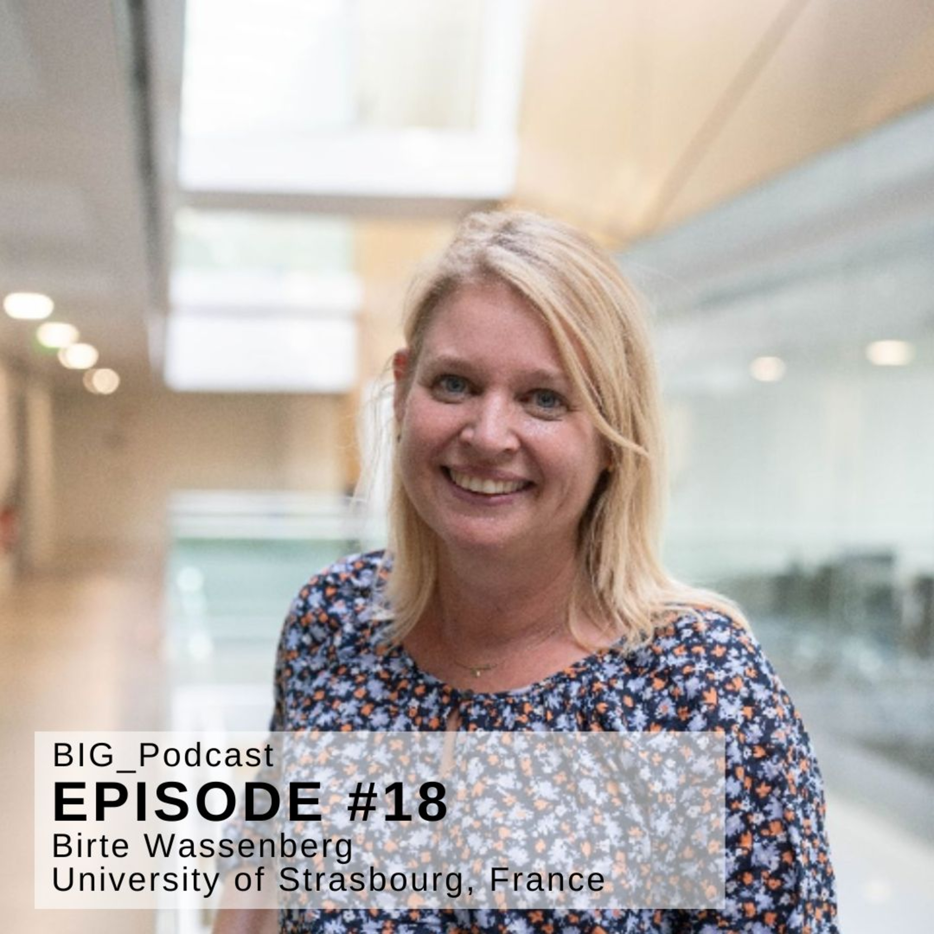 #18 BIG Podcast - “History of cross-border cooperation in Europe since 1945” - With: Birte Wassenberg – Professor in Contemporary History at the University of Strasbourg, France;