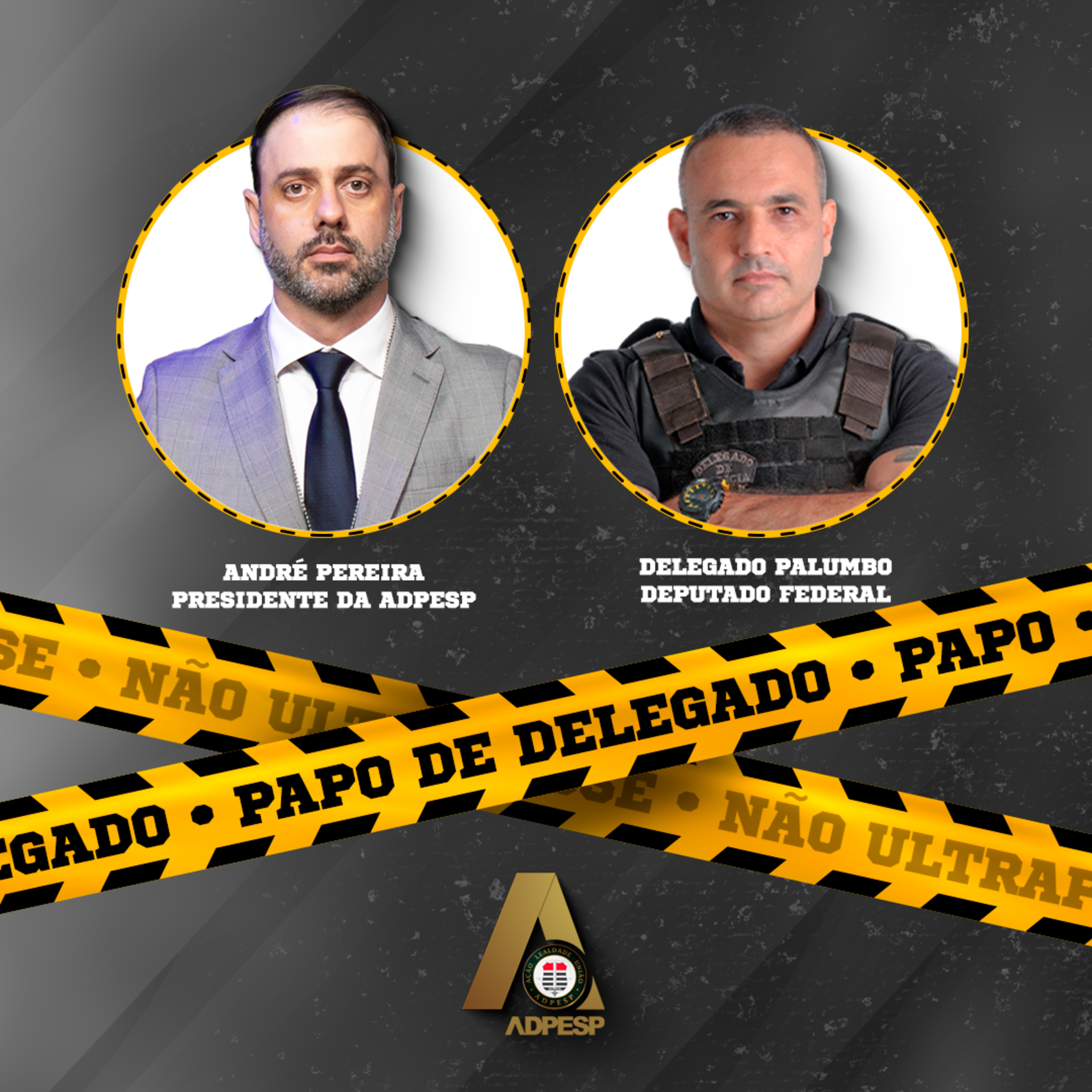 Papo de Delegado - Entrevista com Delegado Deputado Palumbo episode artwork
