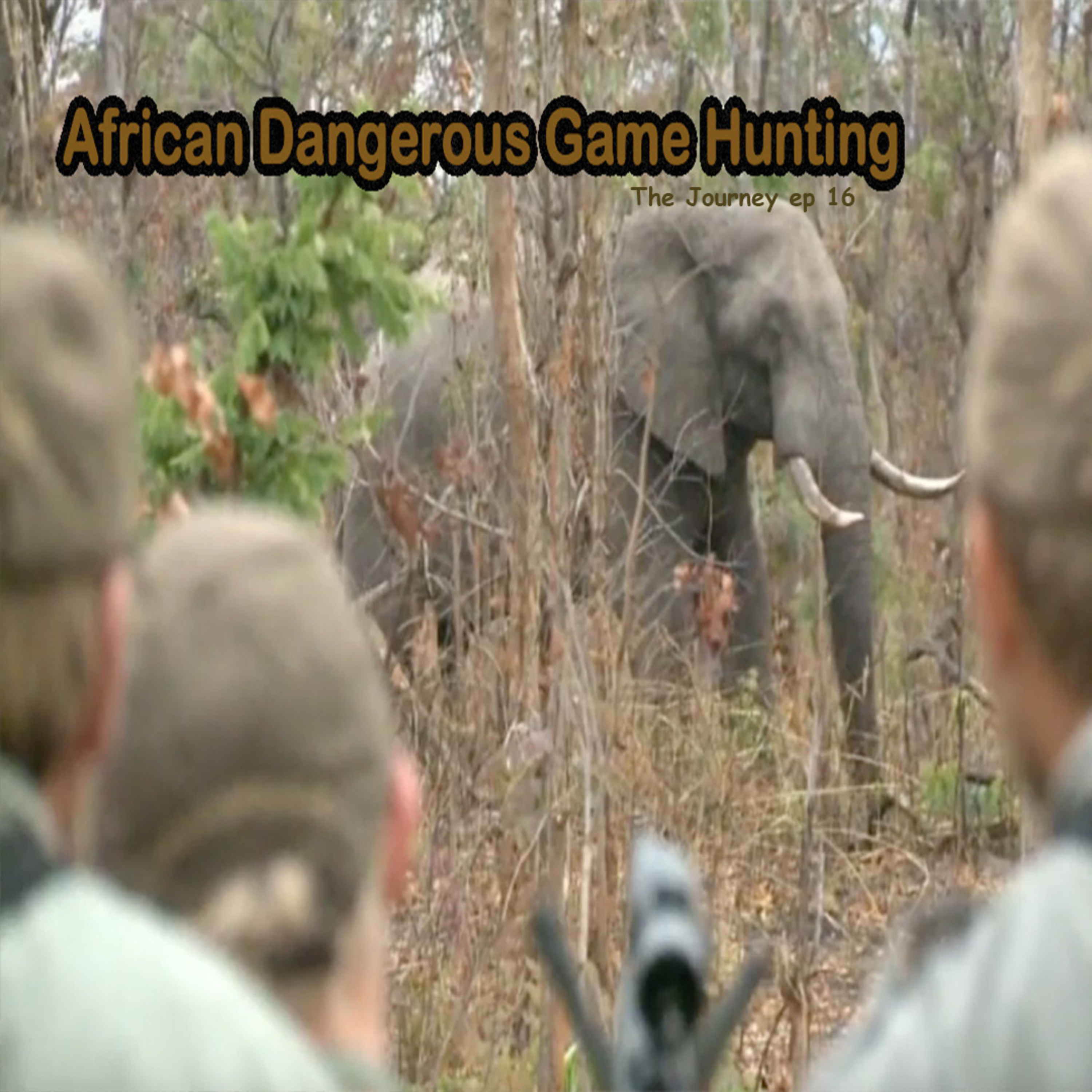 Safari Trails With Mckenzie Sims