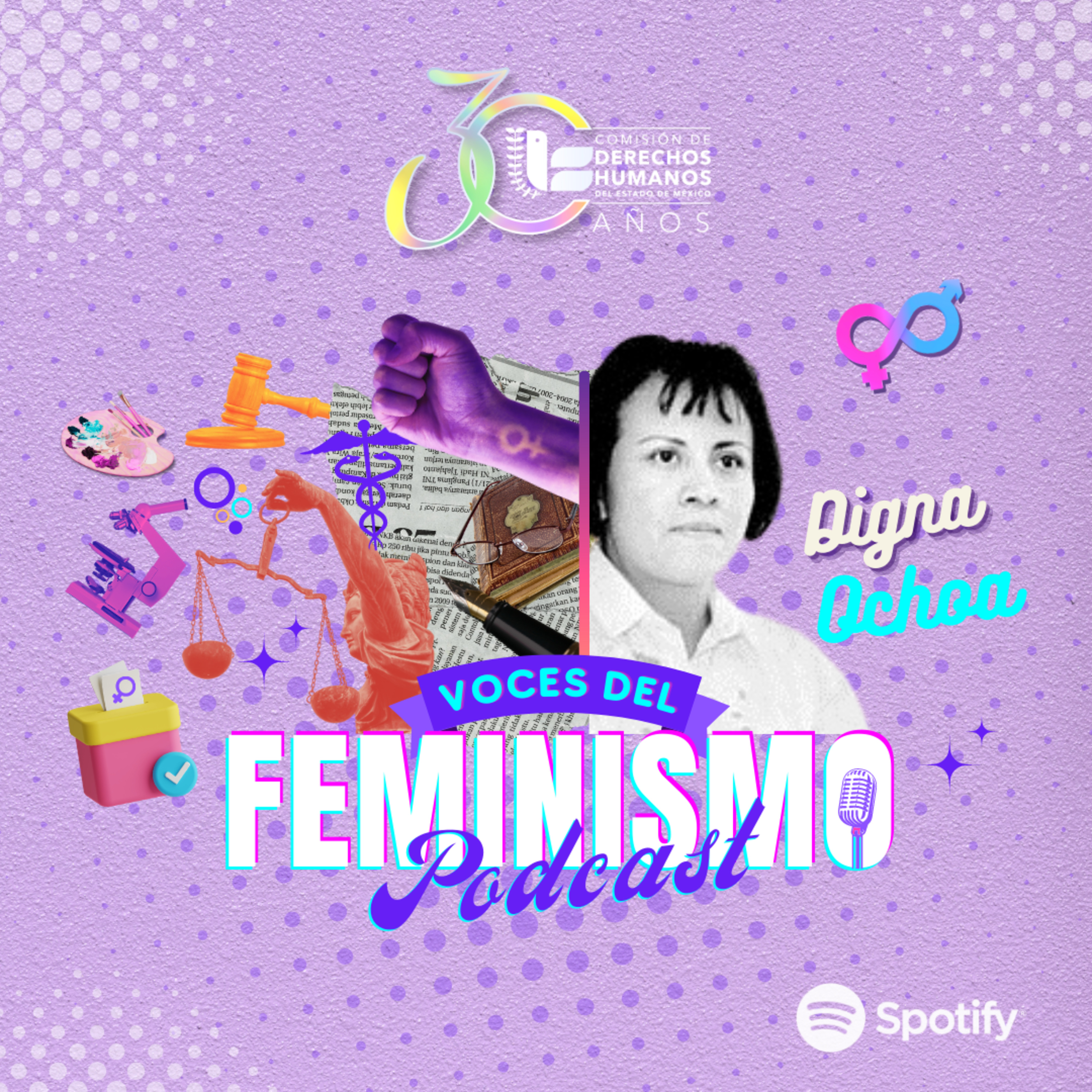 Voces del Feminismo- Digna Ochoa episode artwork
