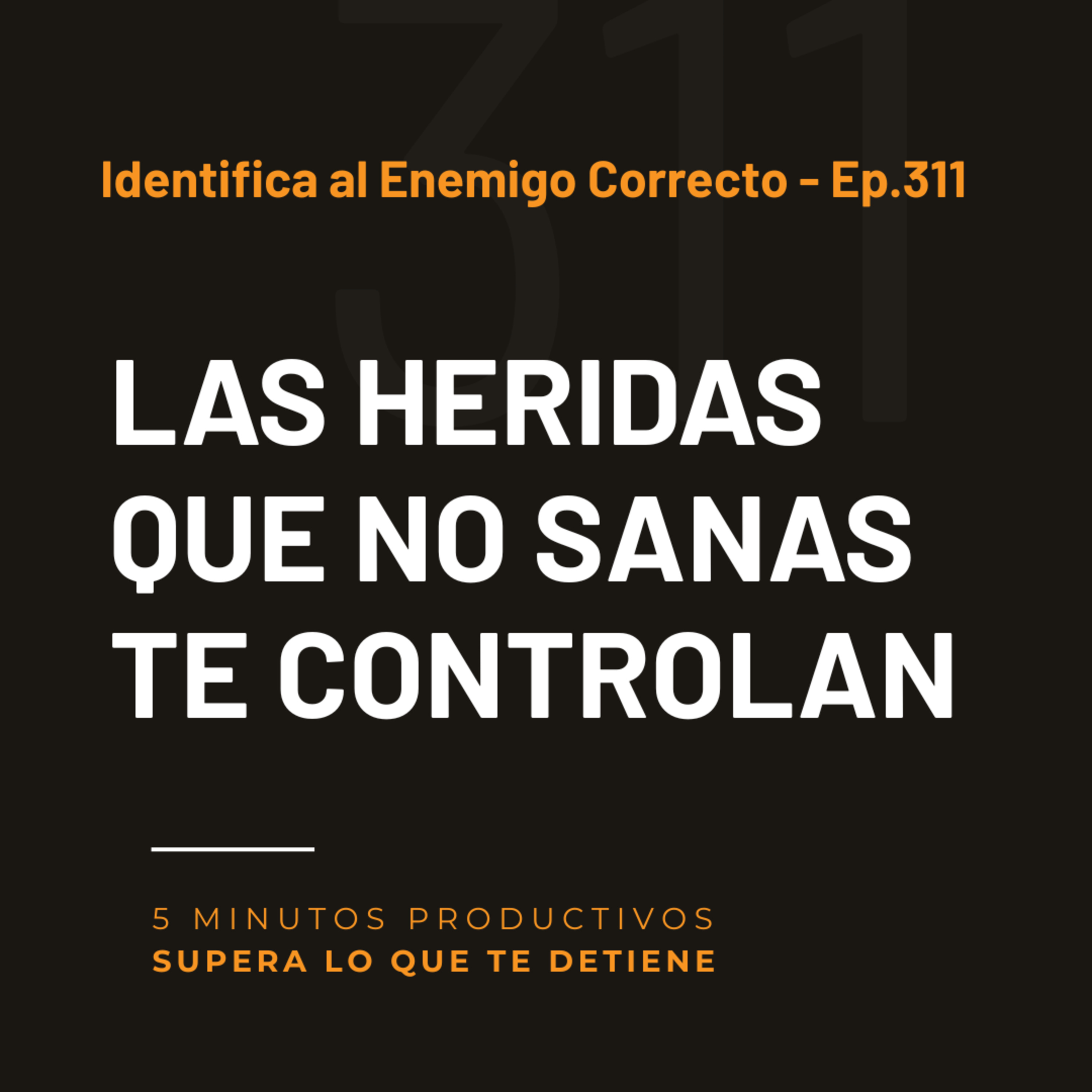 Identifica al Enemigo Correcto - Ep.311 episode artwork