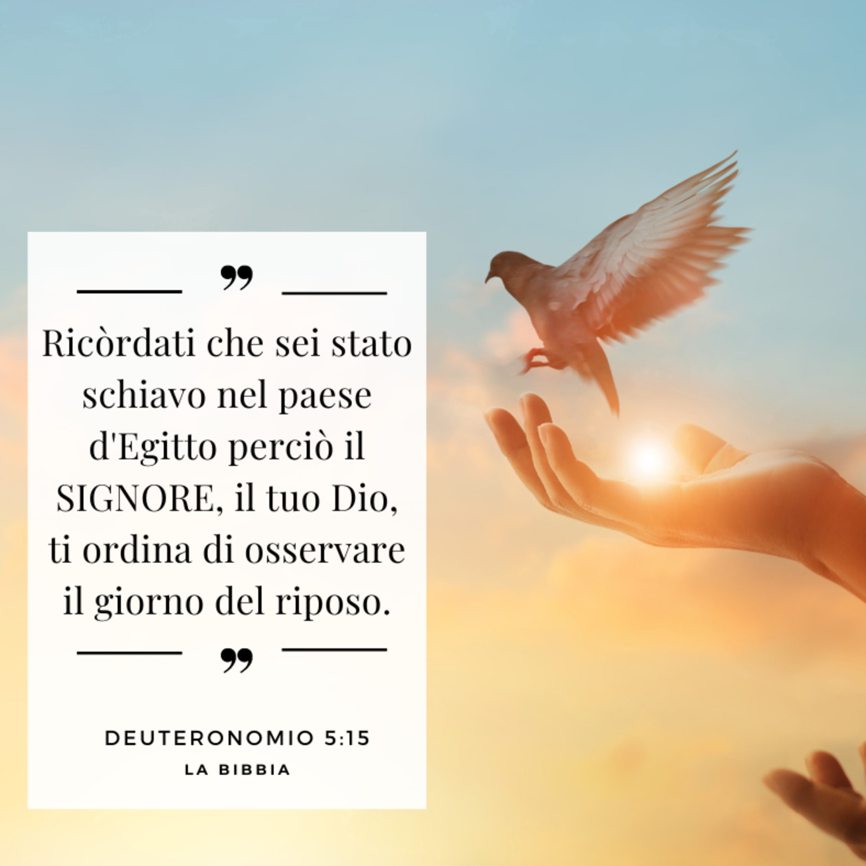 FIN DAL MATTINO