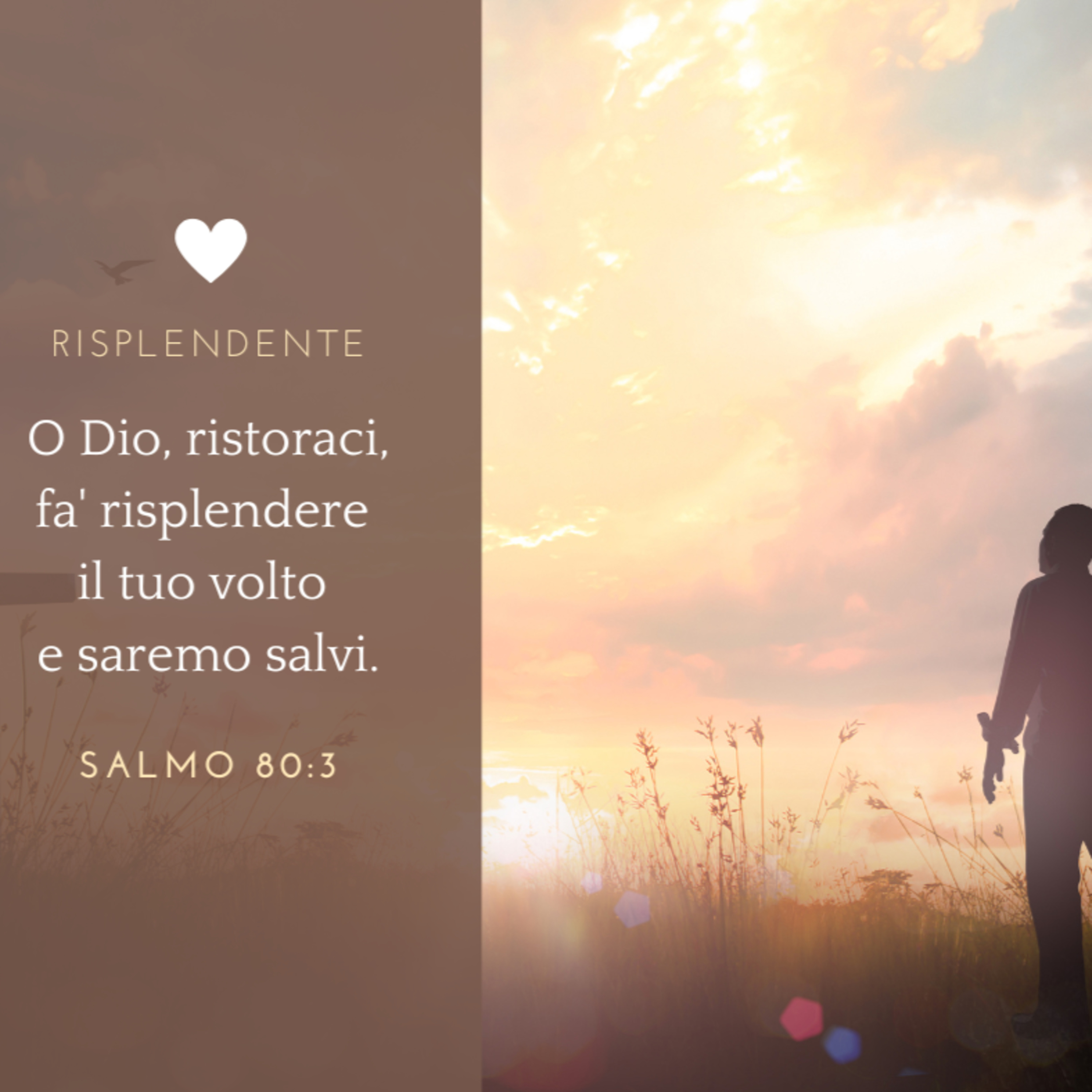 FIN DAL MATTINO