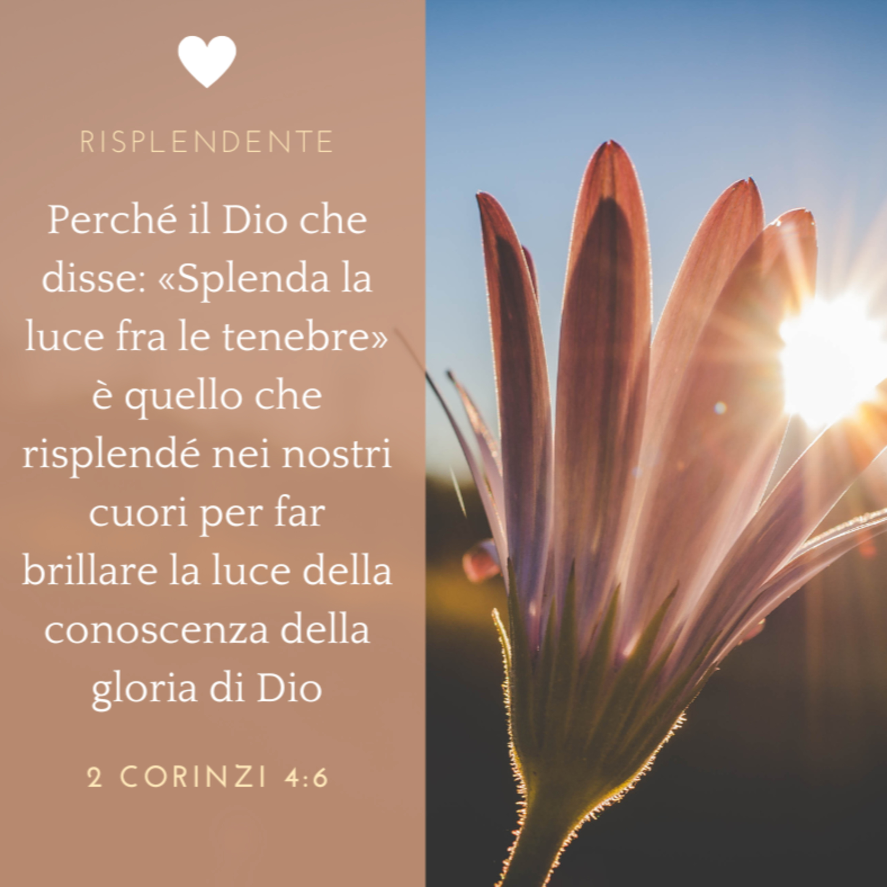 FIN DAL MATTINO