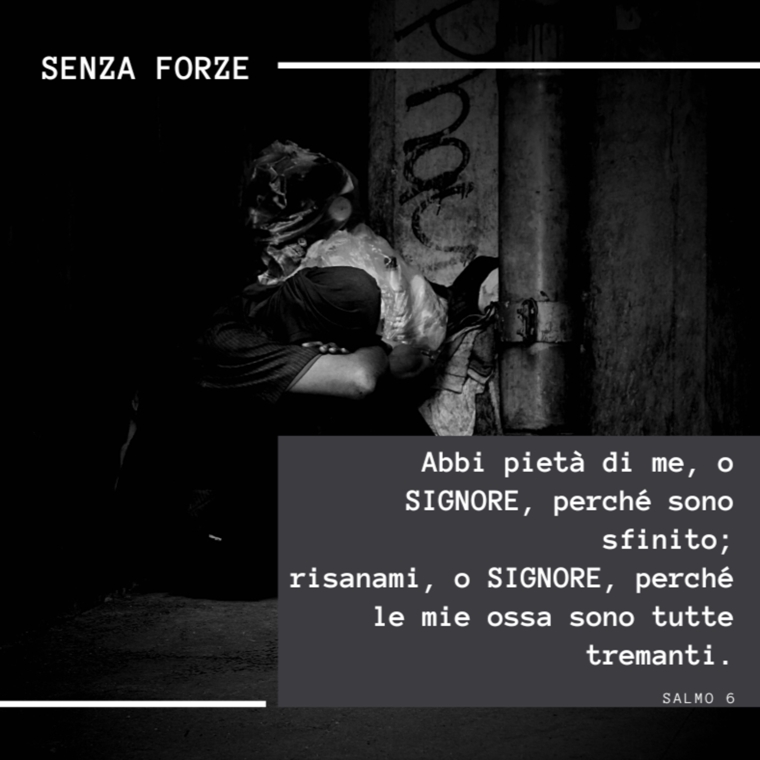 FIN DAL MATTINO