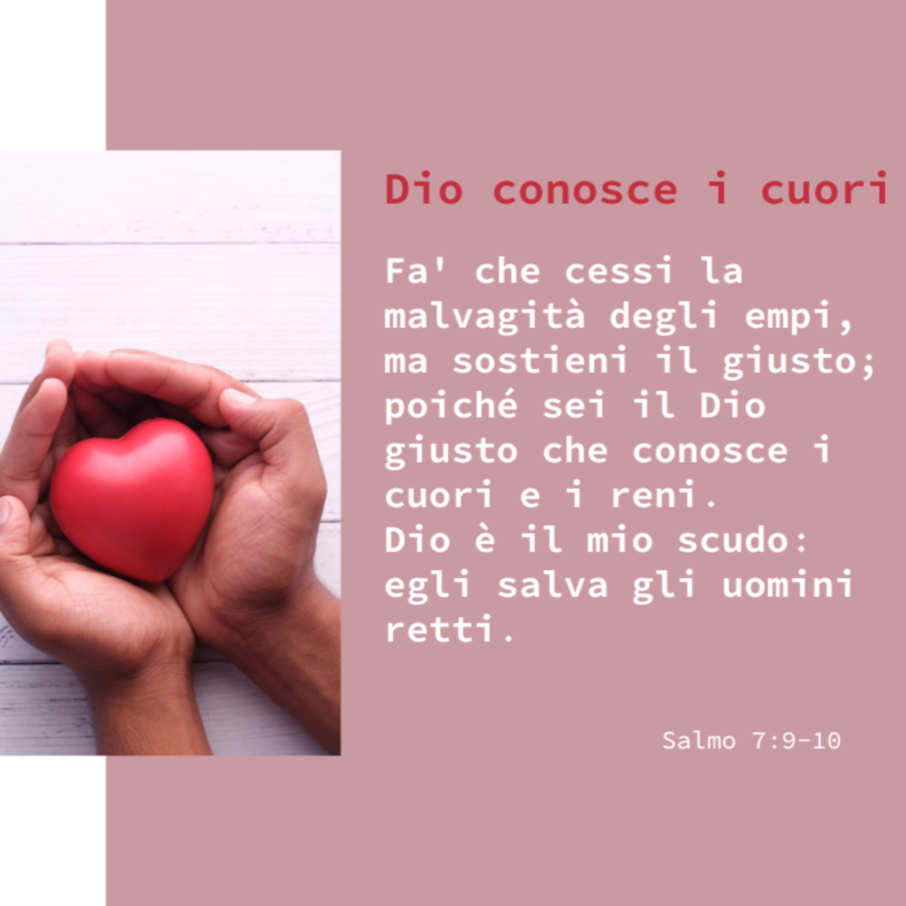 FIN DAL MATTINO