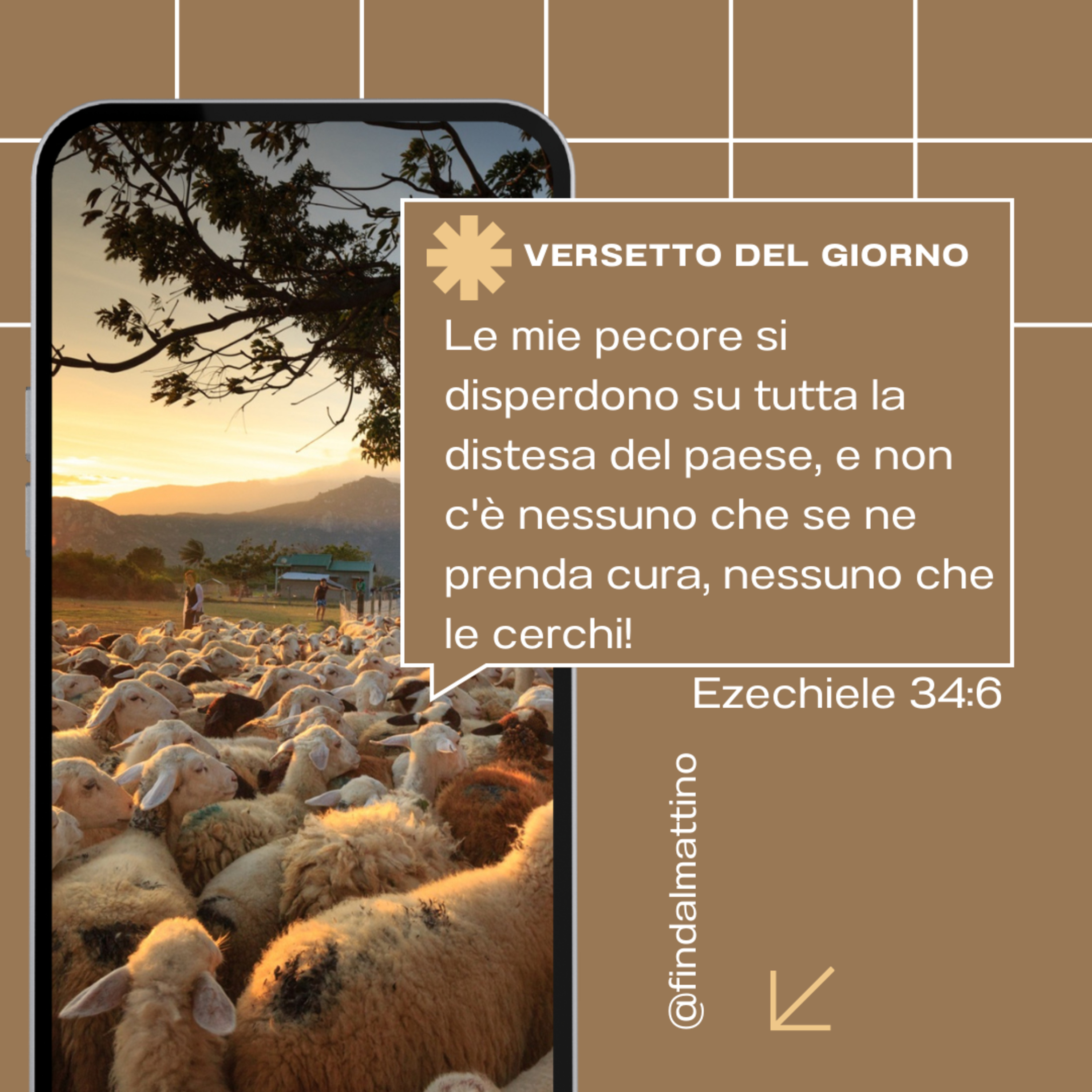 FIN DAL MATTINO