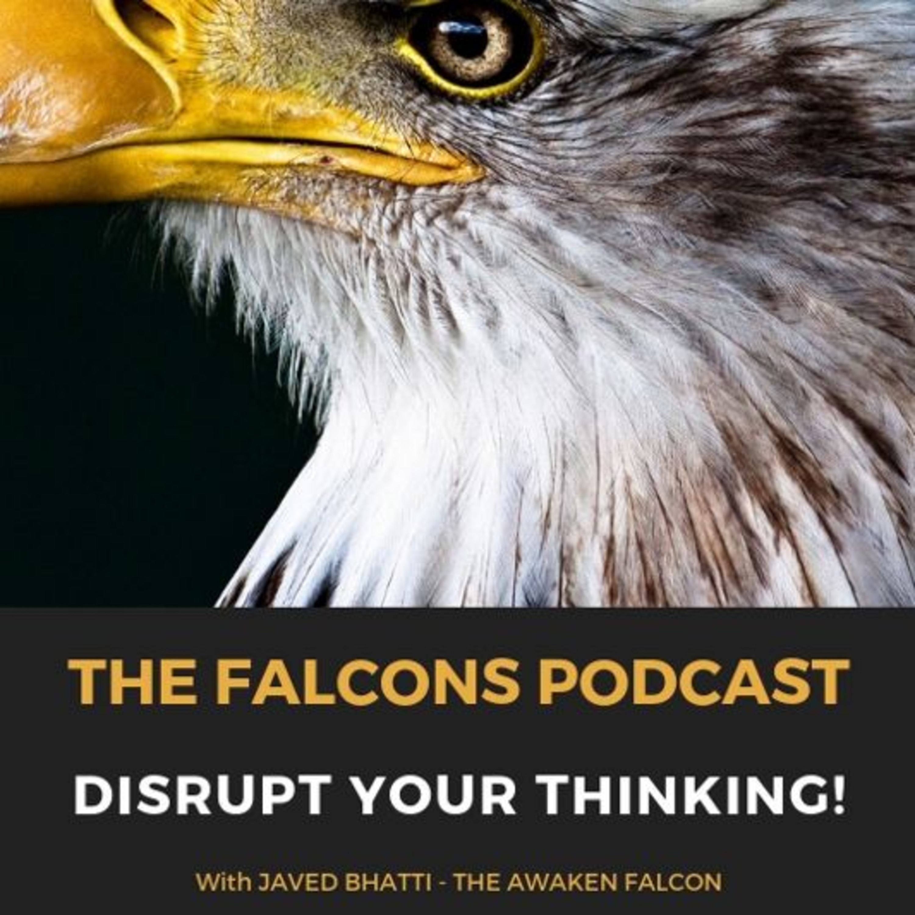 Awaken Falcons Podcast