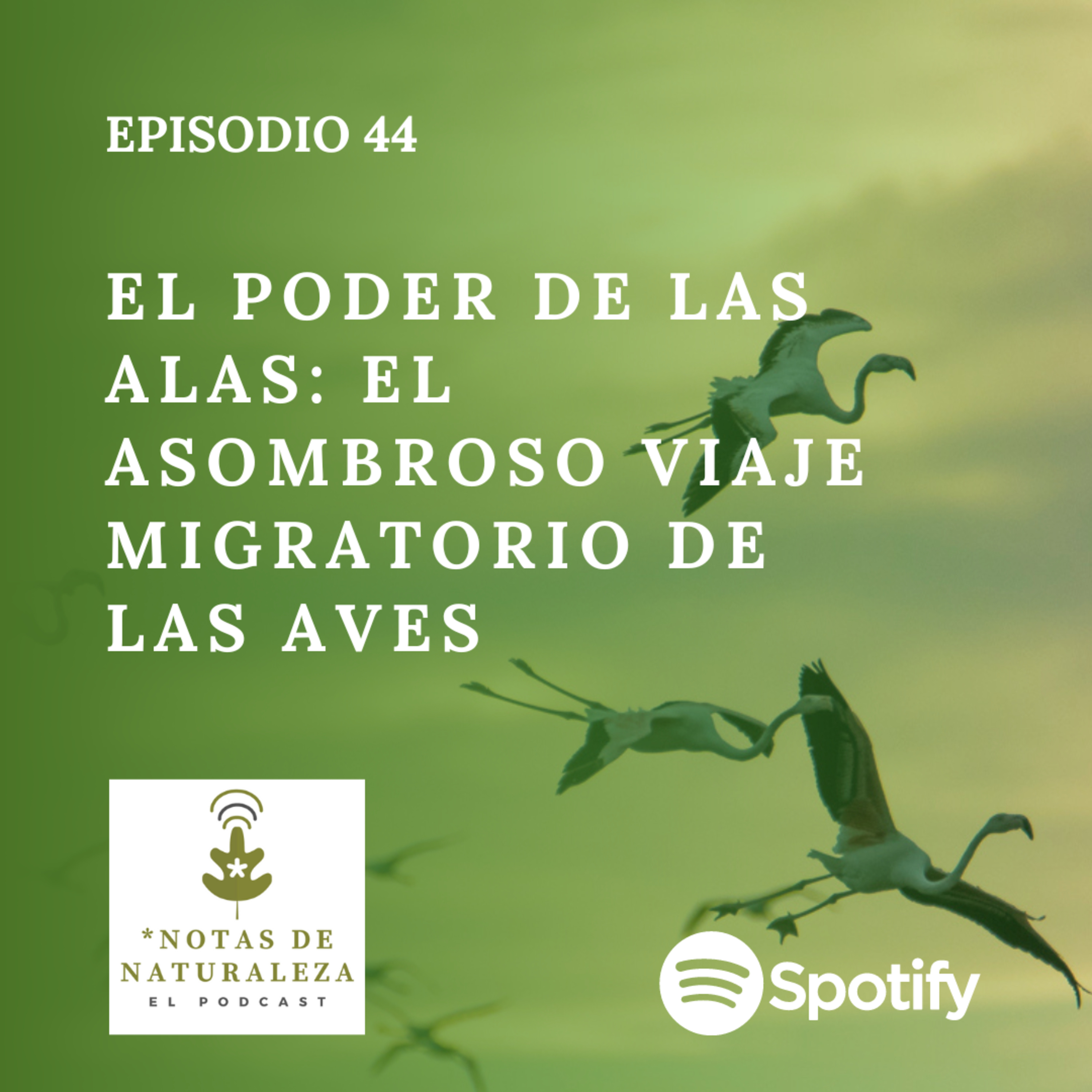 Notas de Naturaleza