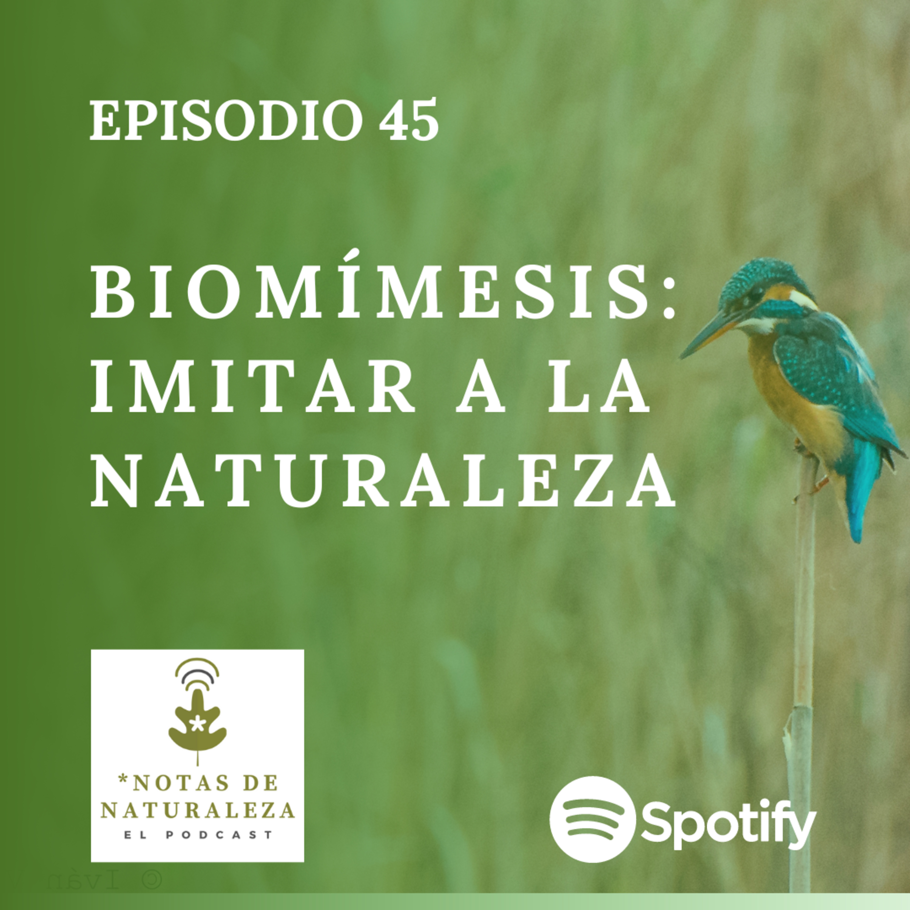 Notas de Naturaleza