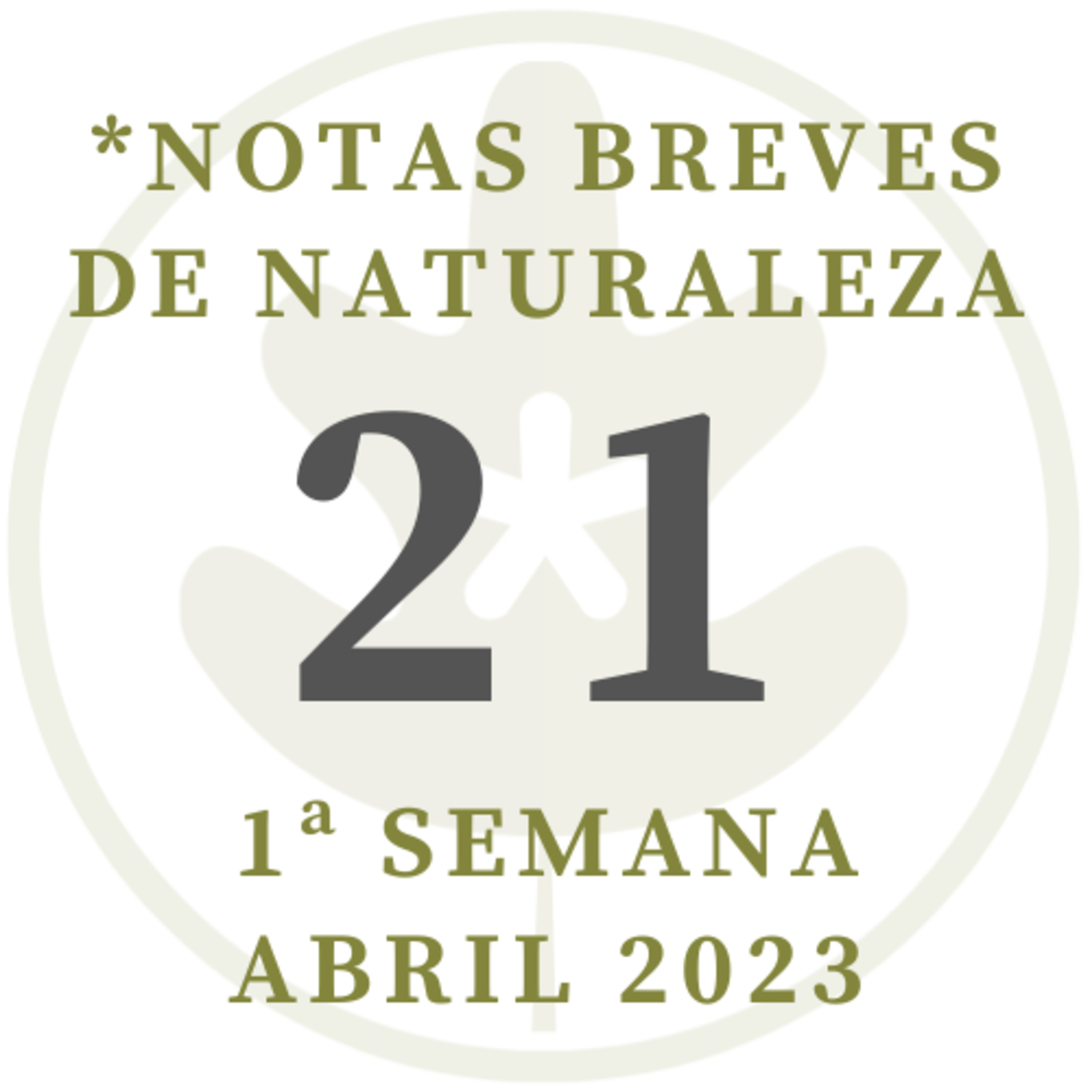 Notas de Naturaleza