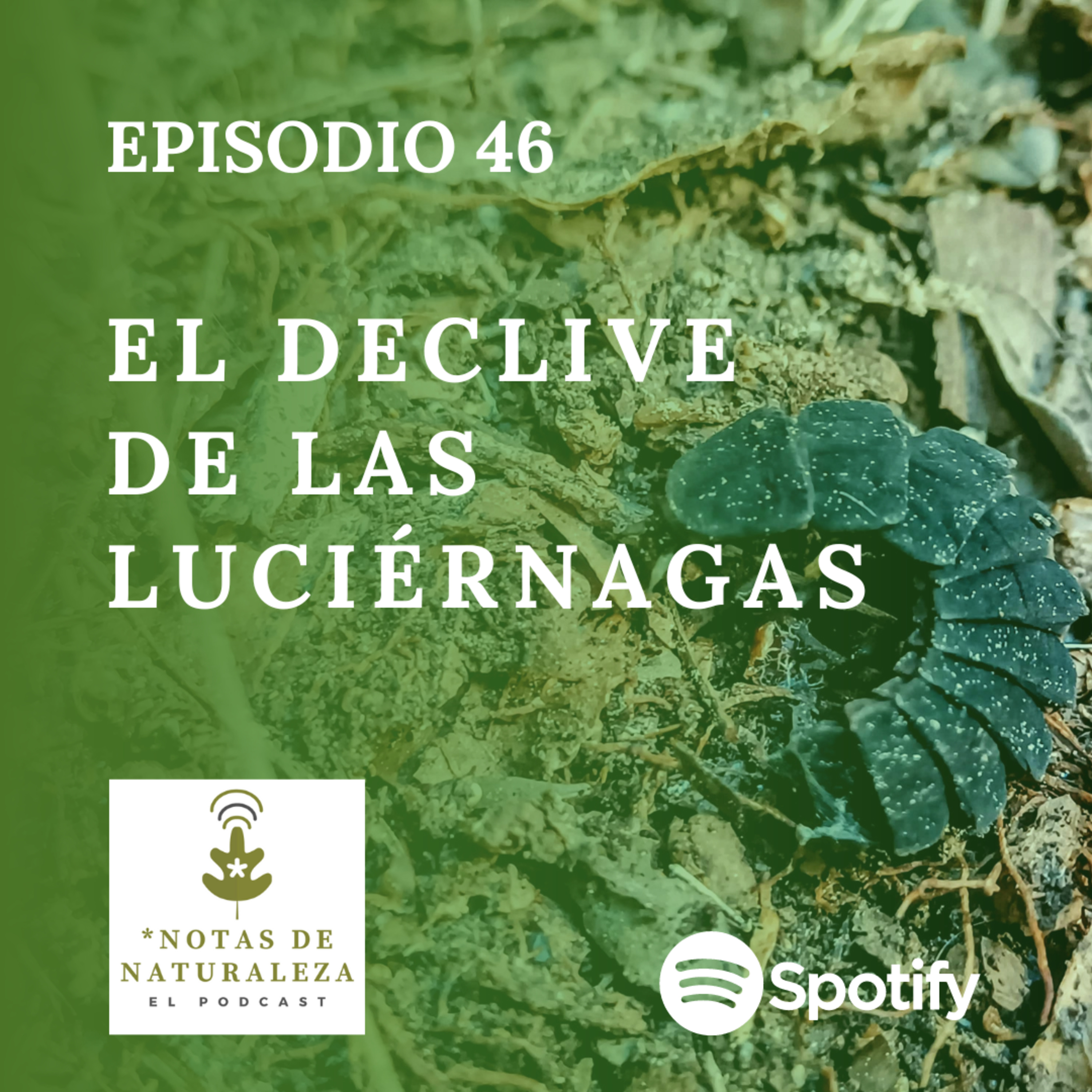 Notas de Naturaleza