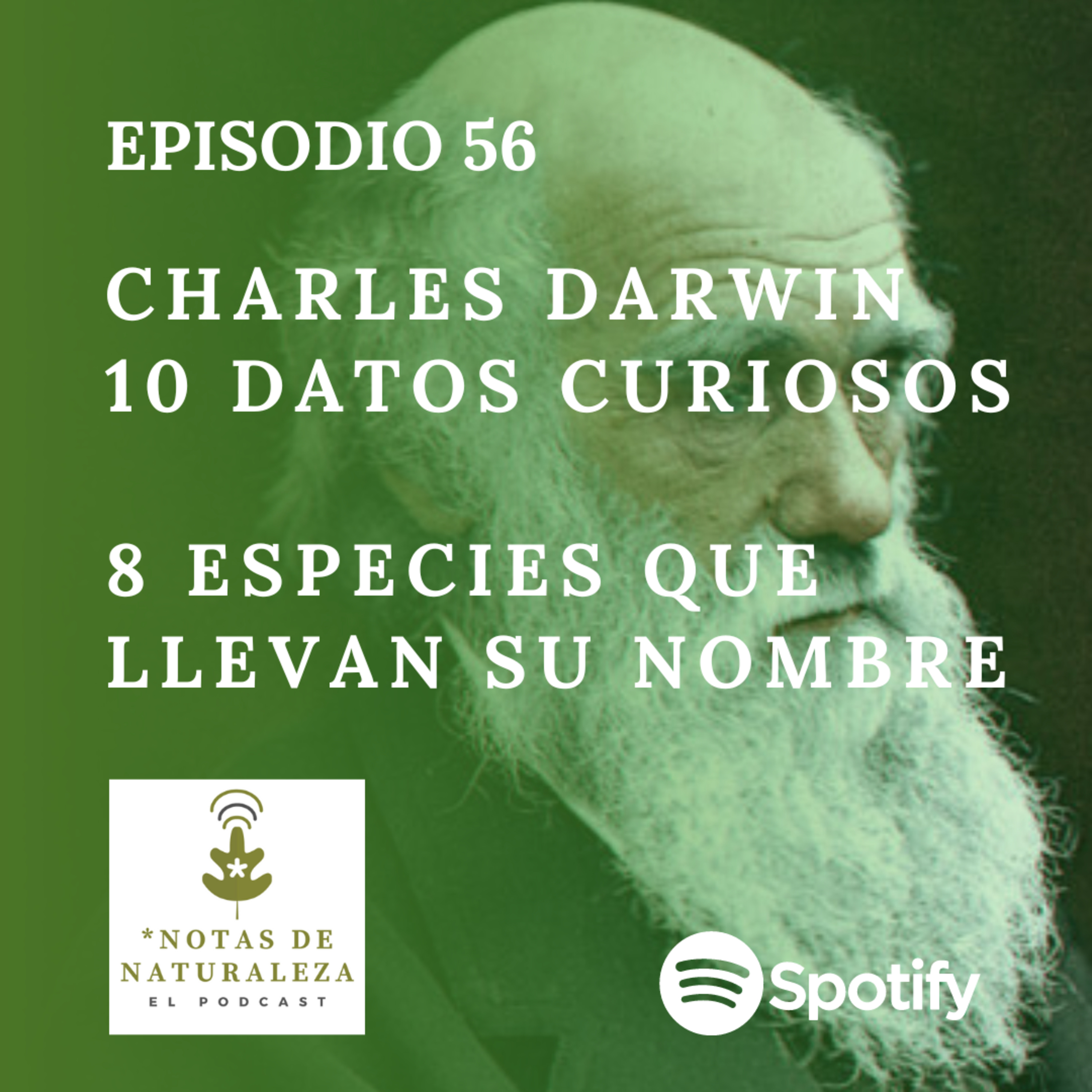 Charles Darwin: 10 datos curiosos y 8 especies que llevan su nombre #56 episode artwork