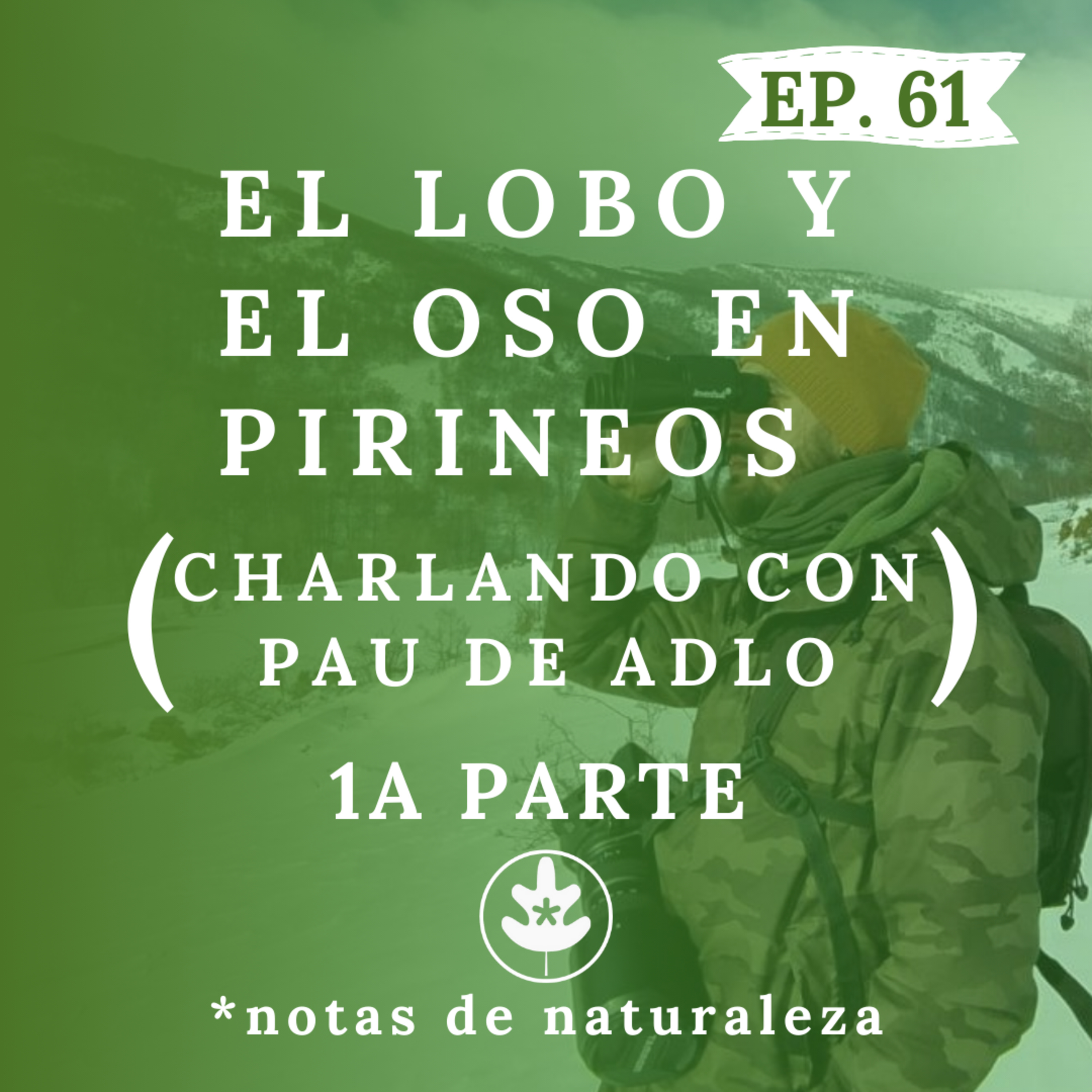 El Lobo y el Oso en Pirineos. Charlando con Pau de ADLO. Parte 1 #61 episode artwork