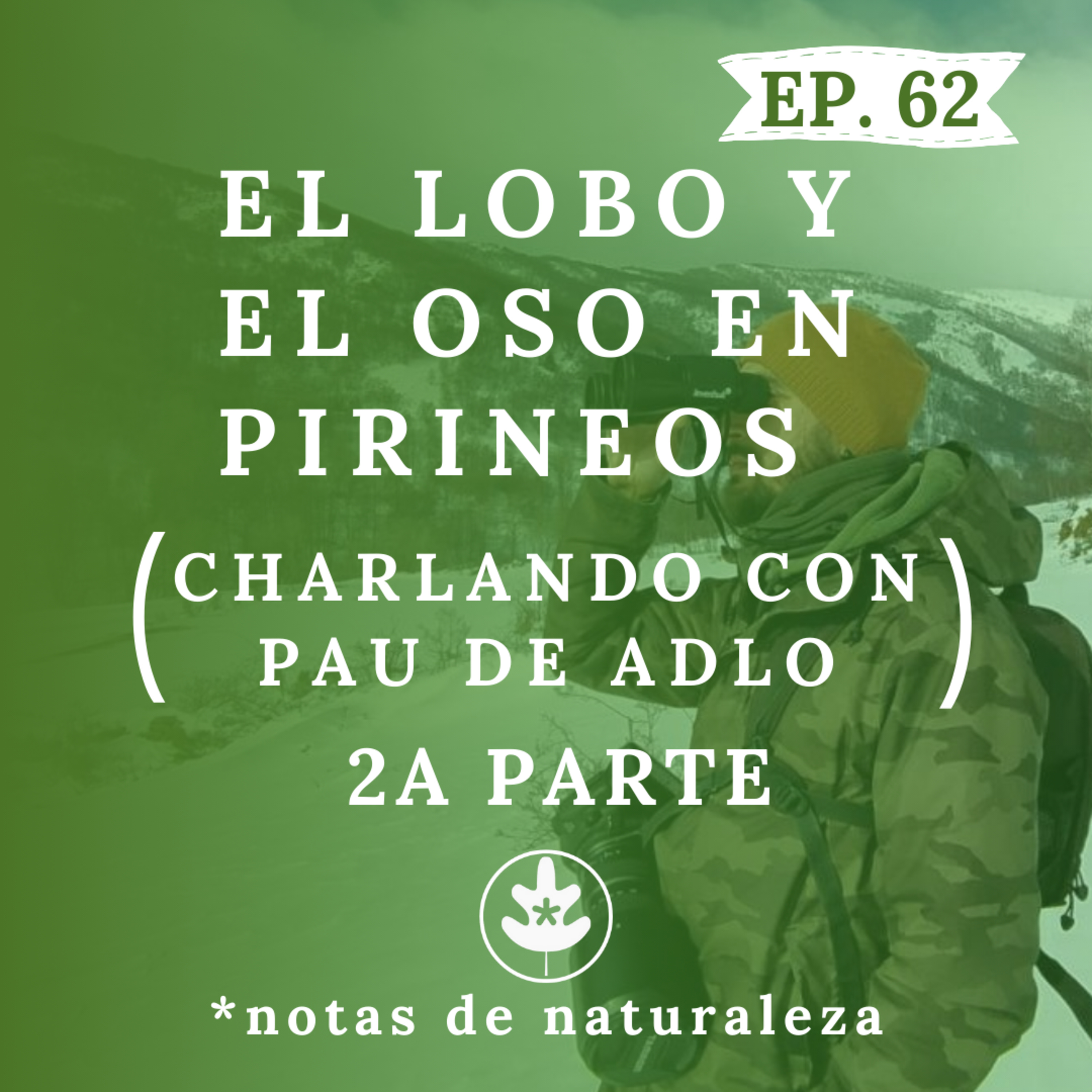 El Lobo y el Oso en Pirineos. Charlando con Pau de ADLO. Parte 2 #62 episode artwork
