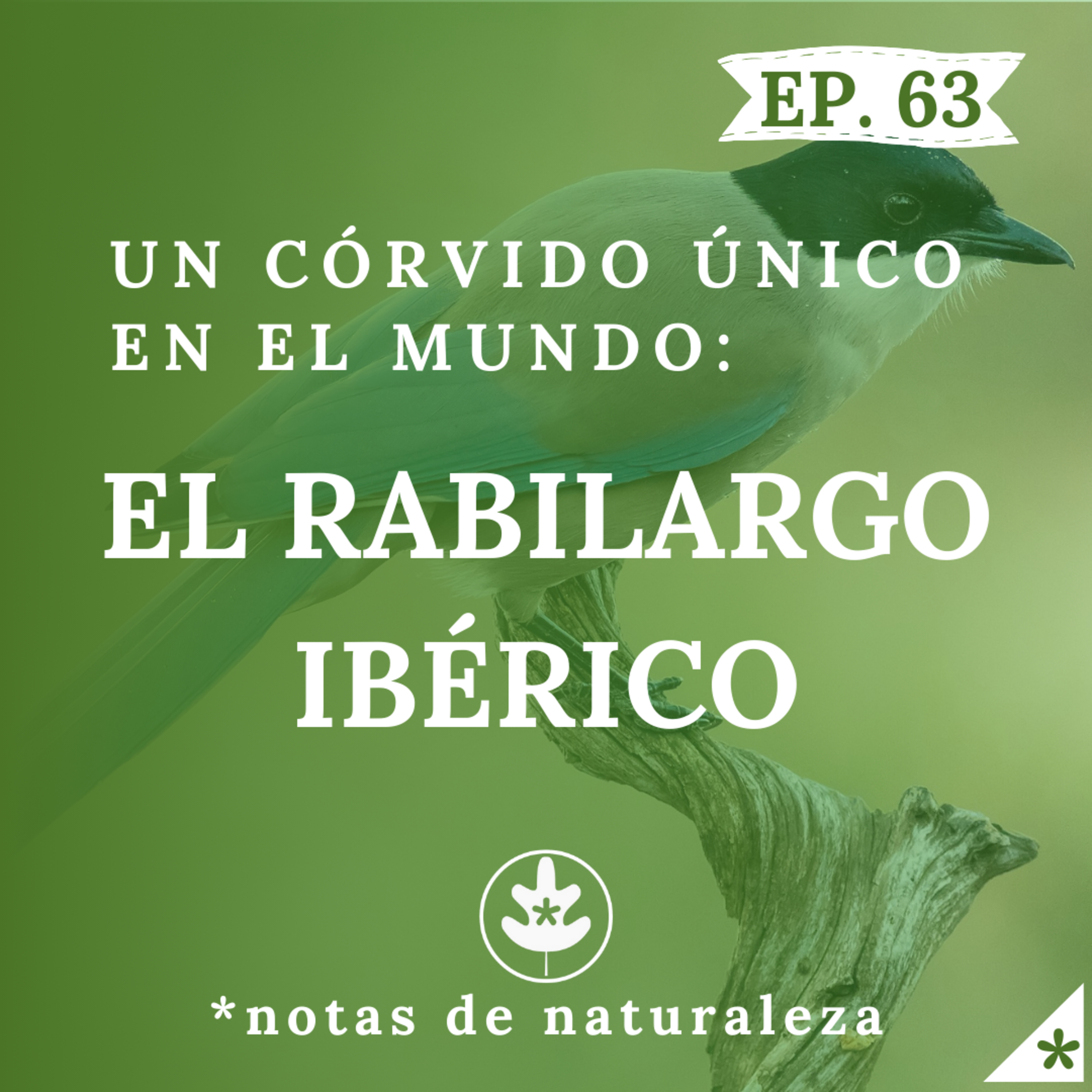 Notas de Naturaleza