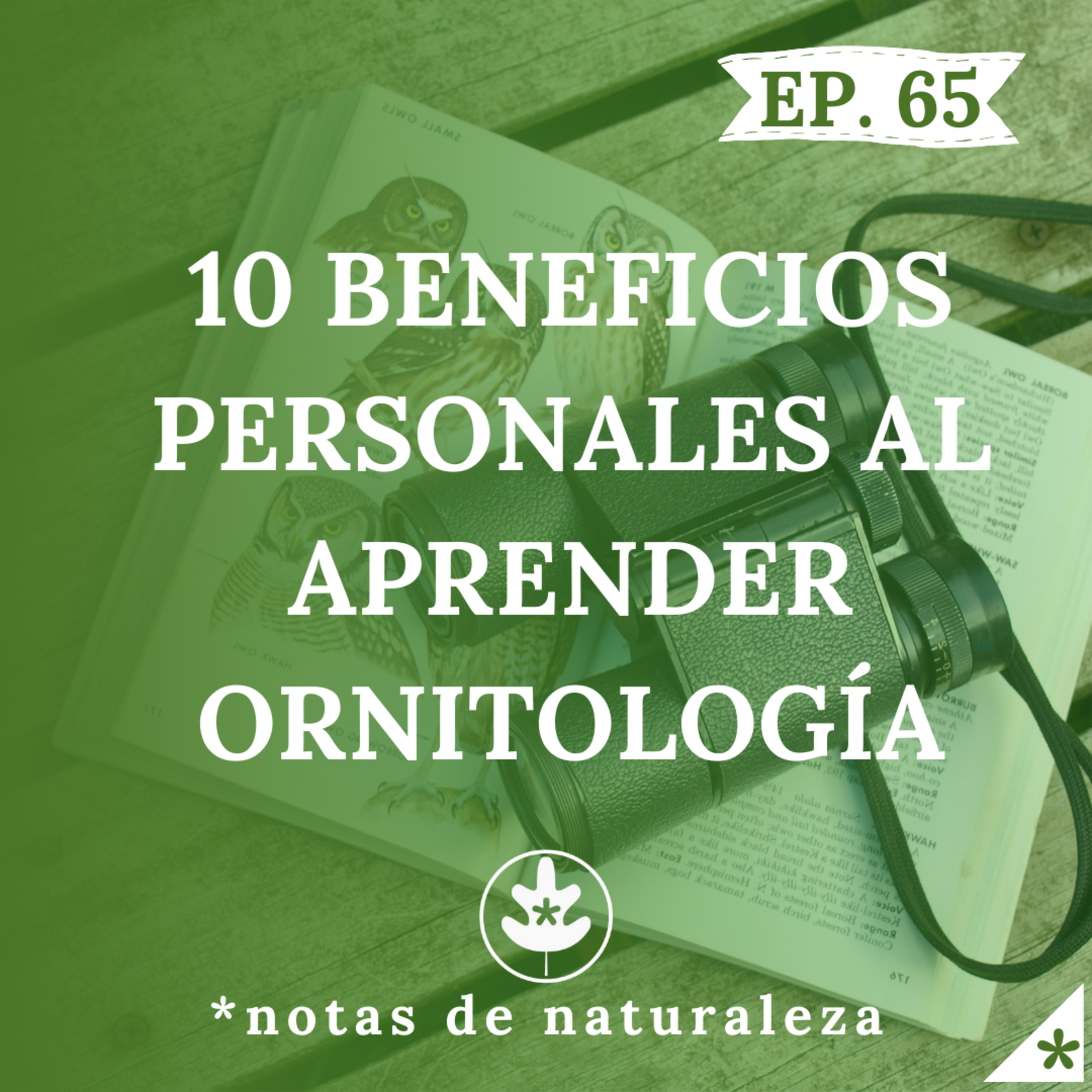 10 Beneficios personales al aprender ornitología #65 episode artwork