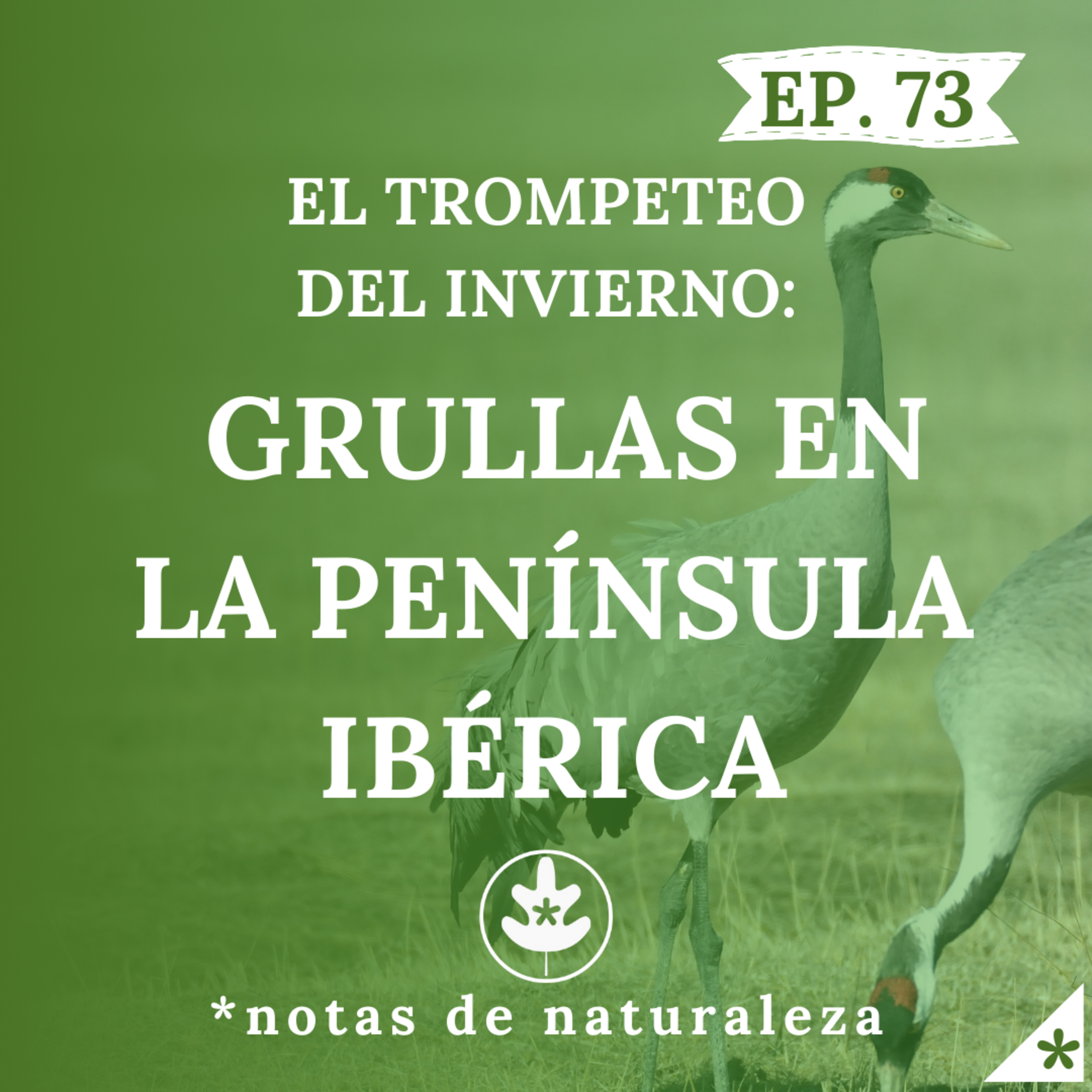 Grullas en la Península Ibérica #73 episode artwork