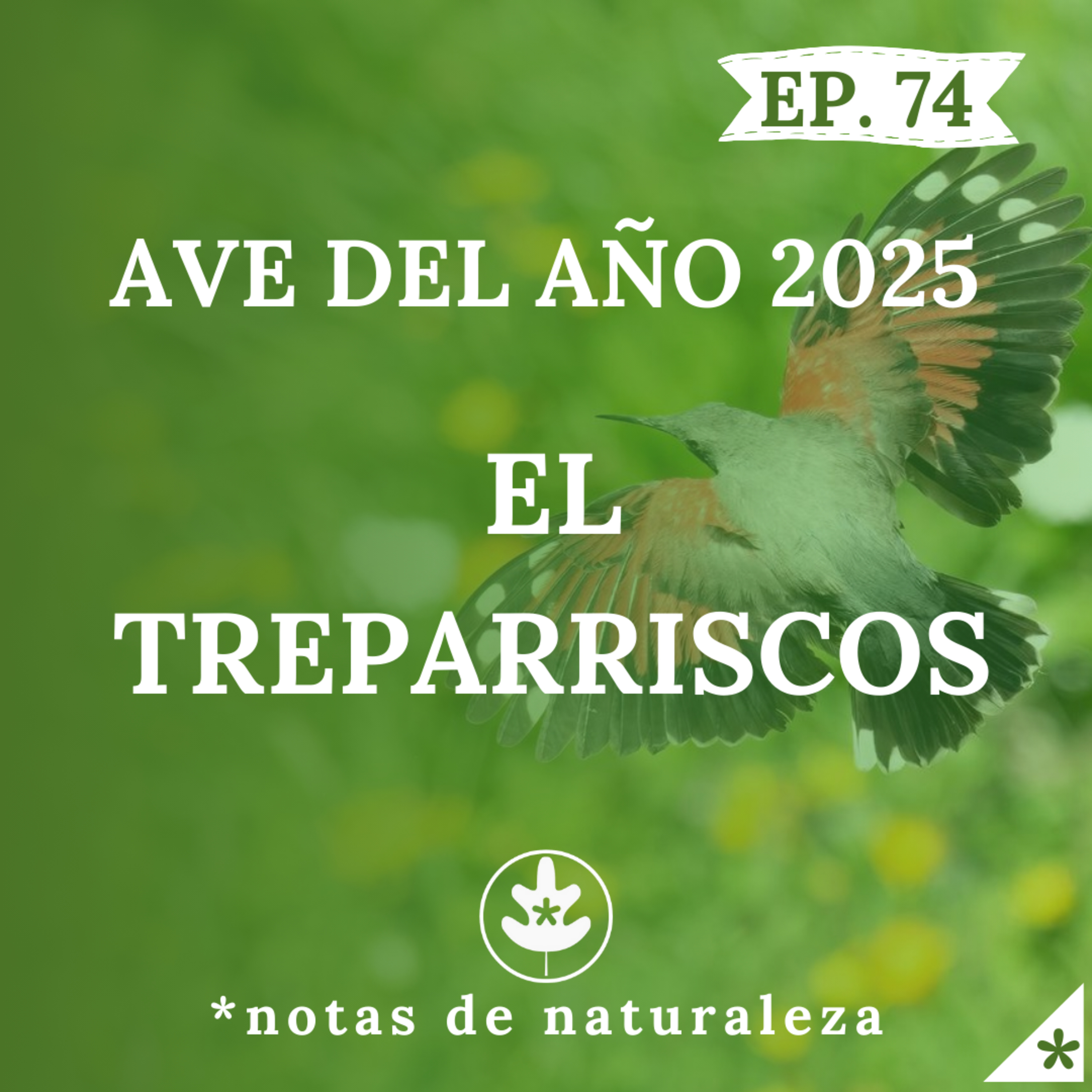 Ave del año 2025: El Treparriscos. #74 episode artwork