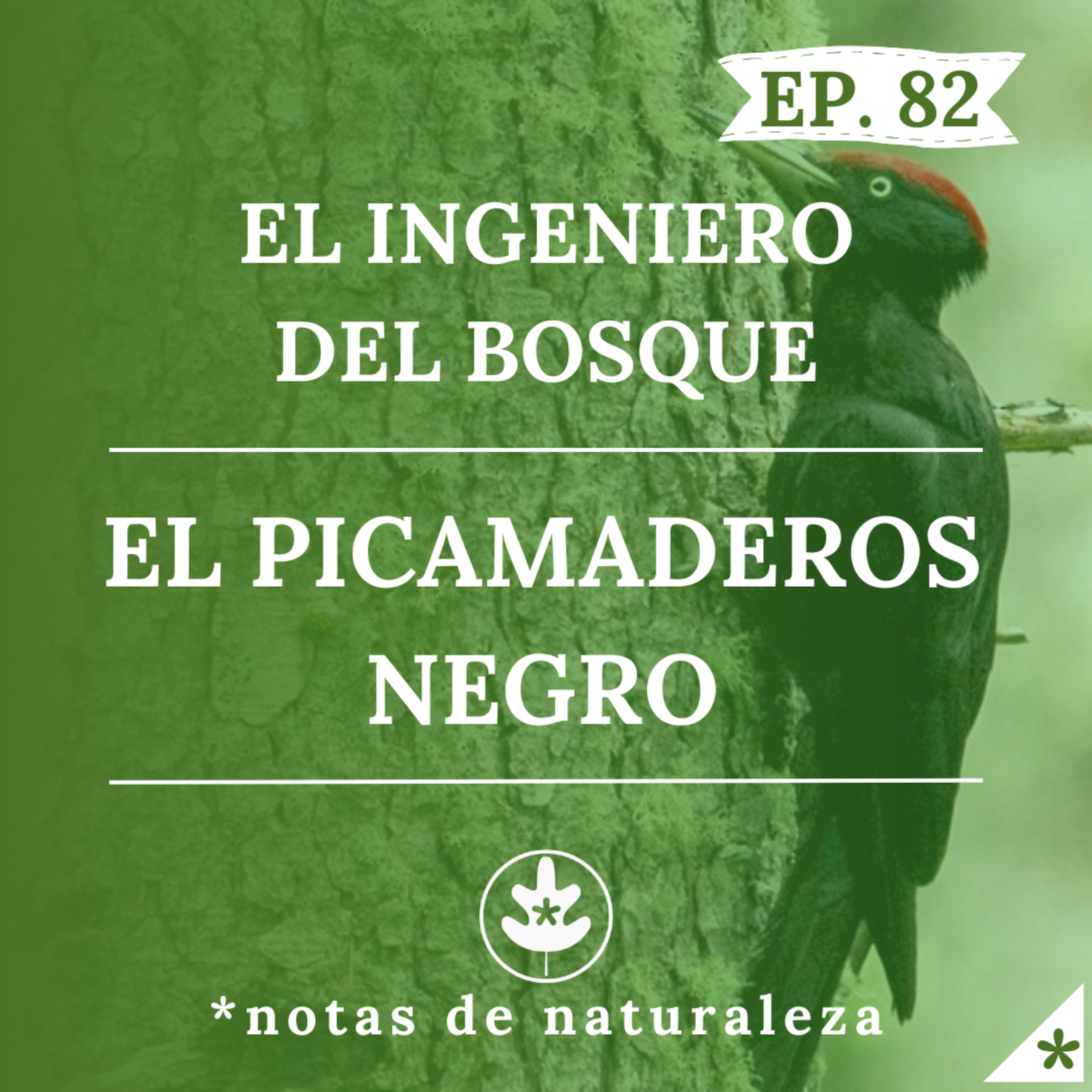 Notas de Naturaleza
