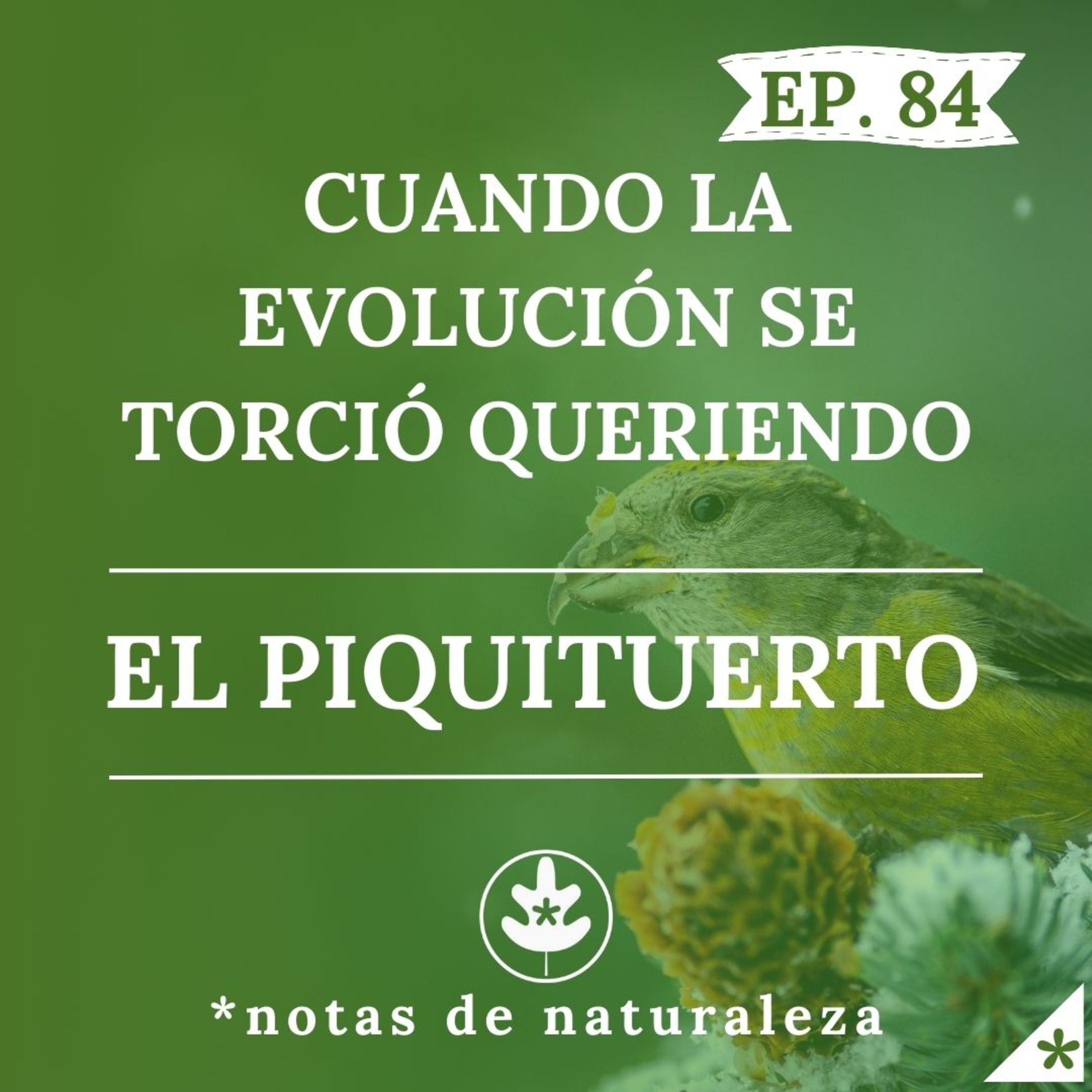 Cuando la evolución se torció queriendo: El Piquituerto #84