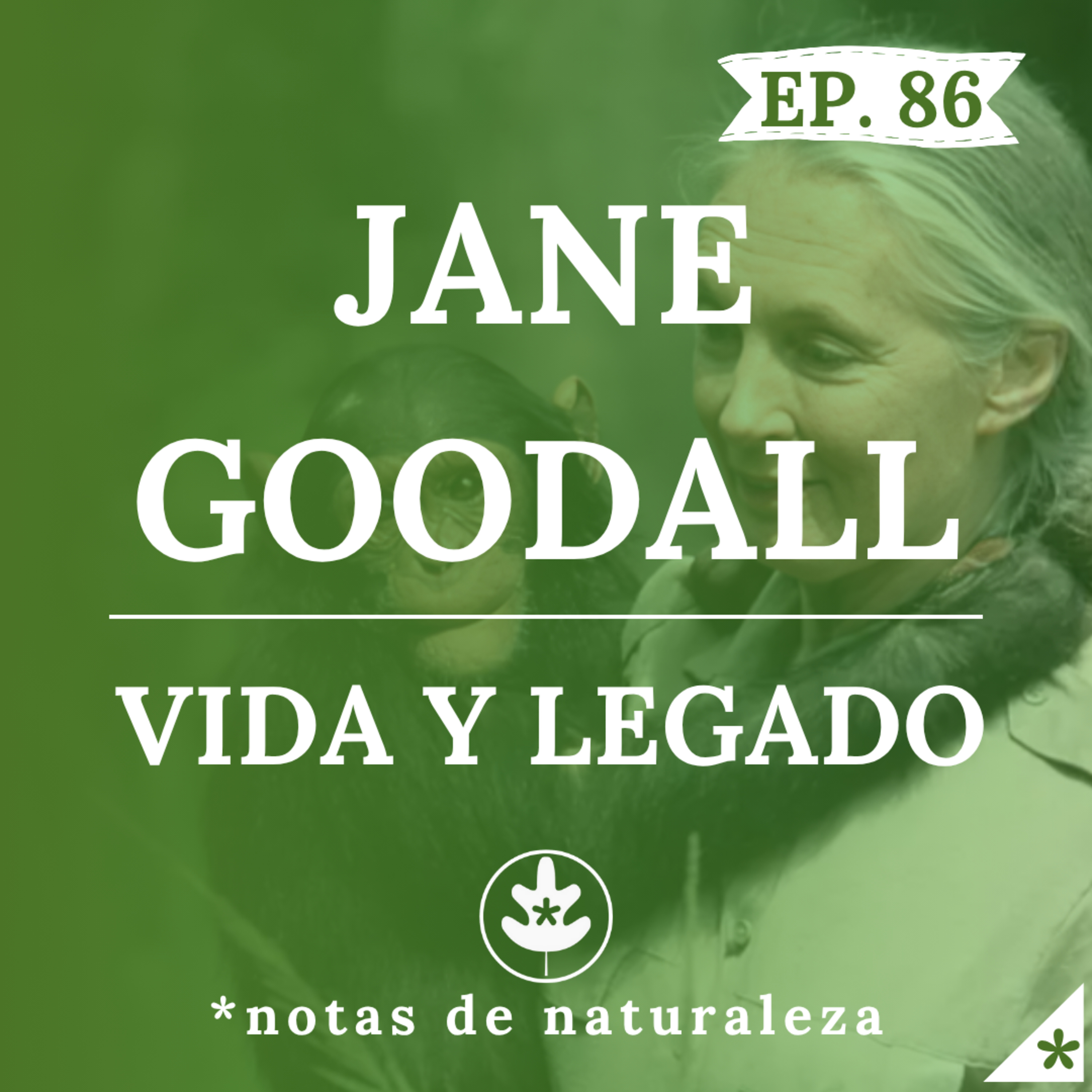 Jane Goodall, vida y legado. #86 episode artwork
