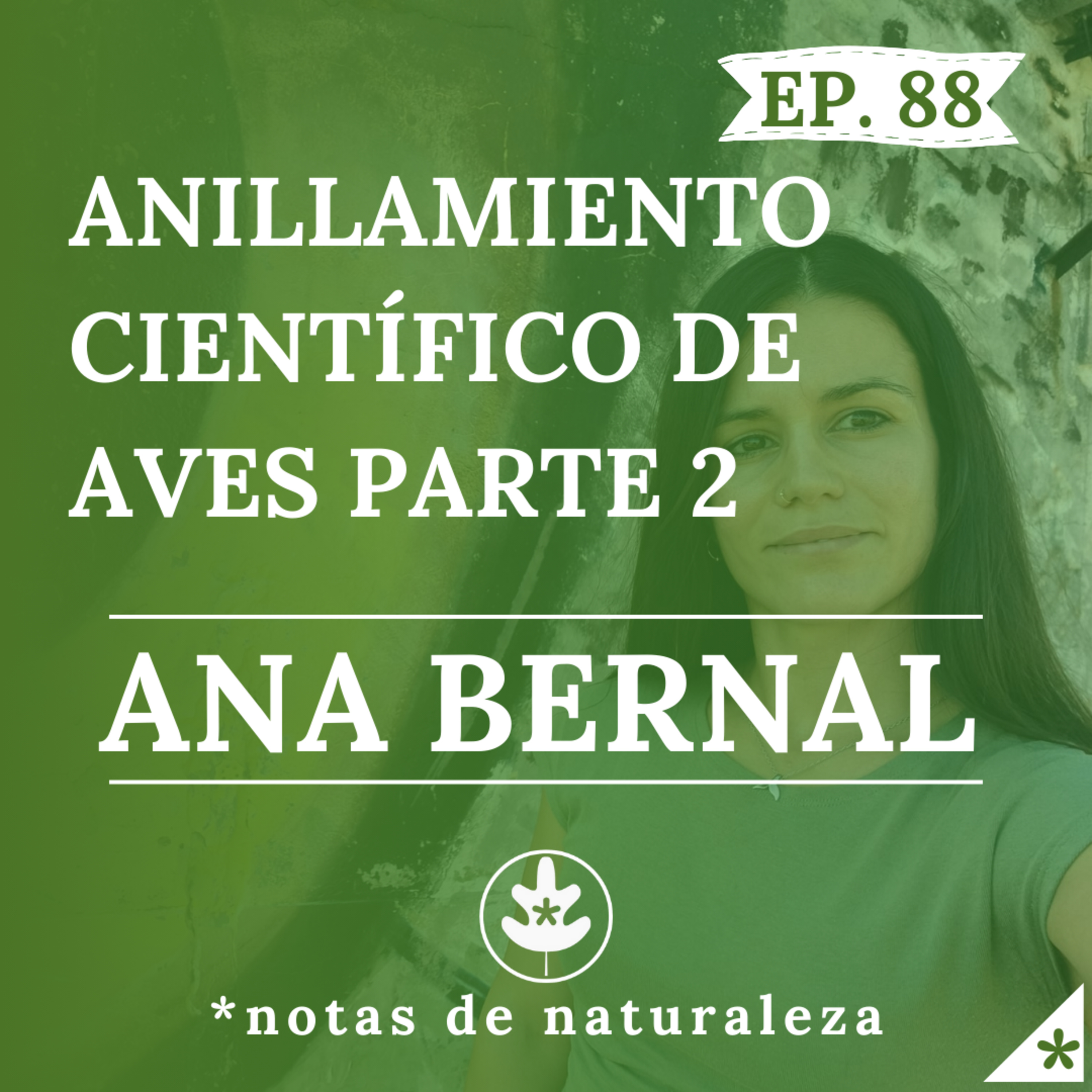 Anillamiento científico de Aves Parte 2. Charla con Ana Bernal. #88 episode artwork
