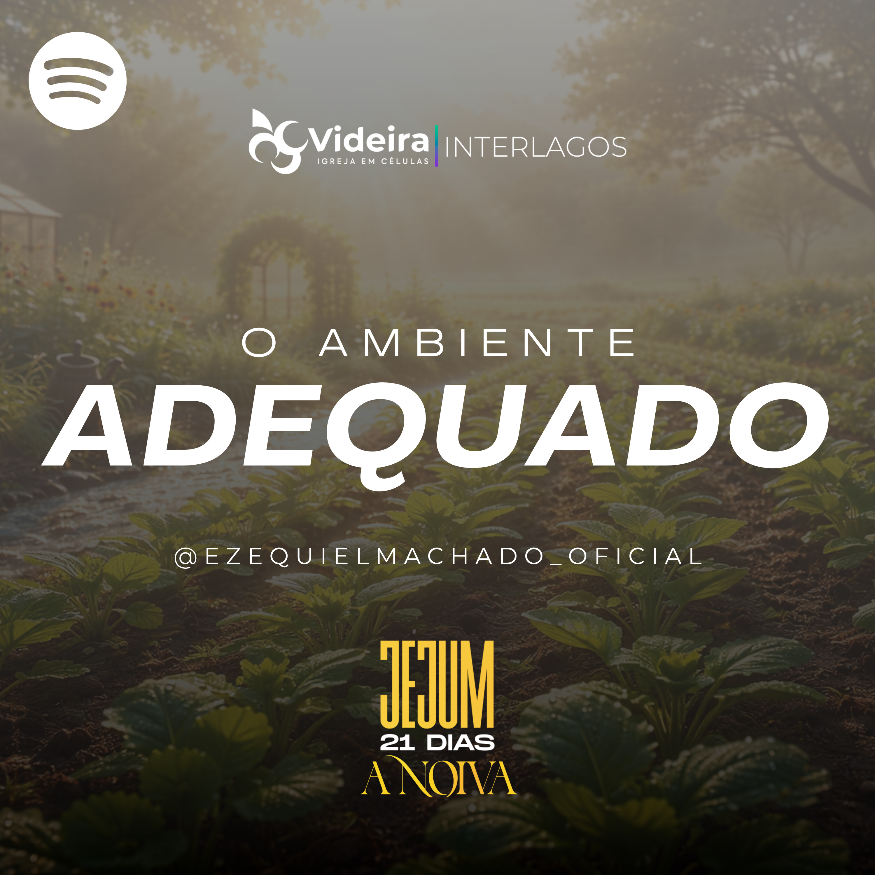 O Ambiente Adequado episode artwork