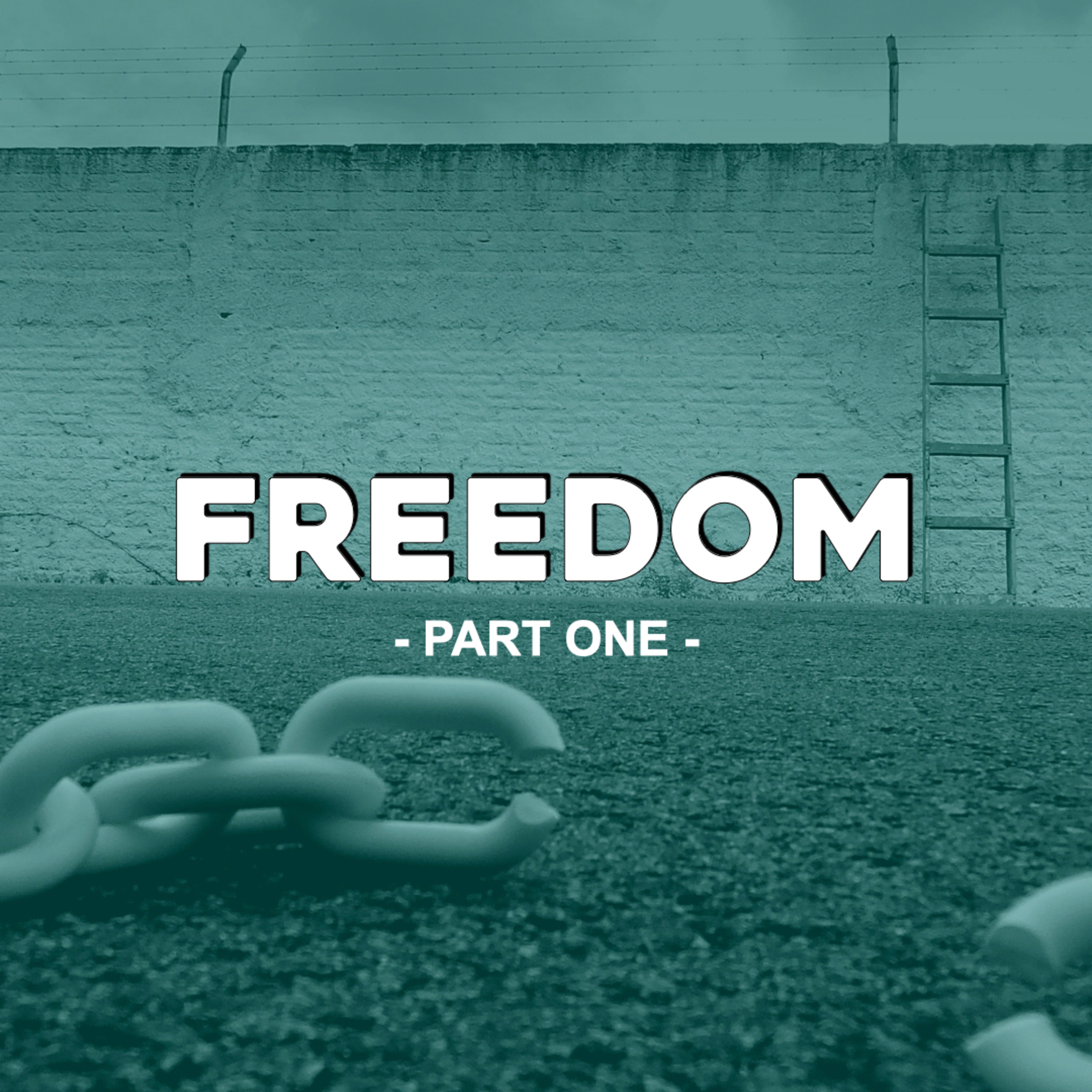 Freedom - Part One episode artwork