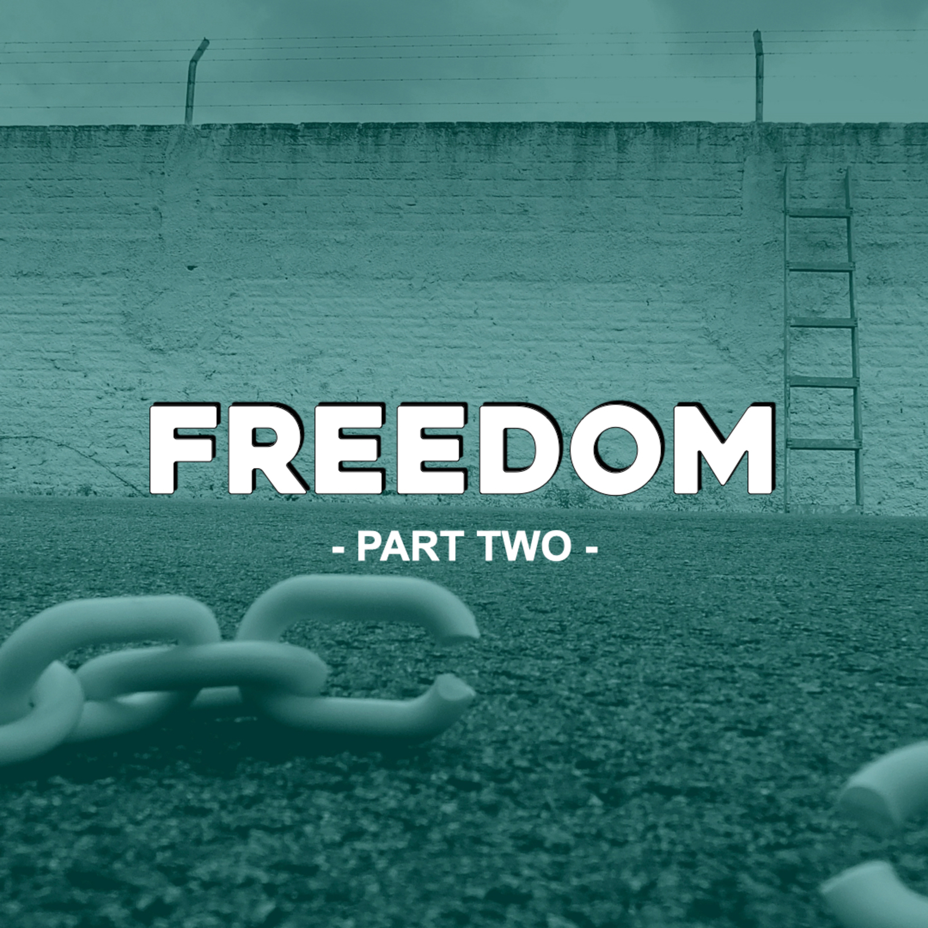 Freedom - Part Two episode artwork