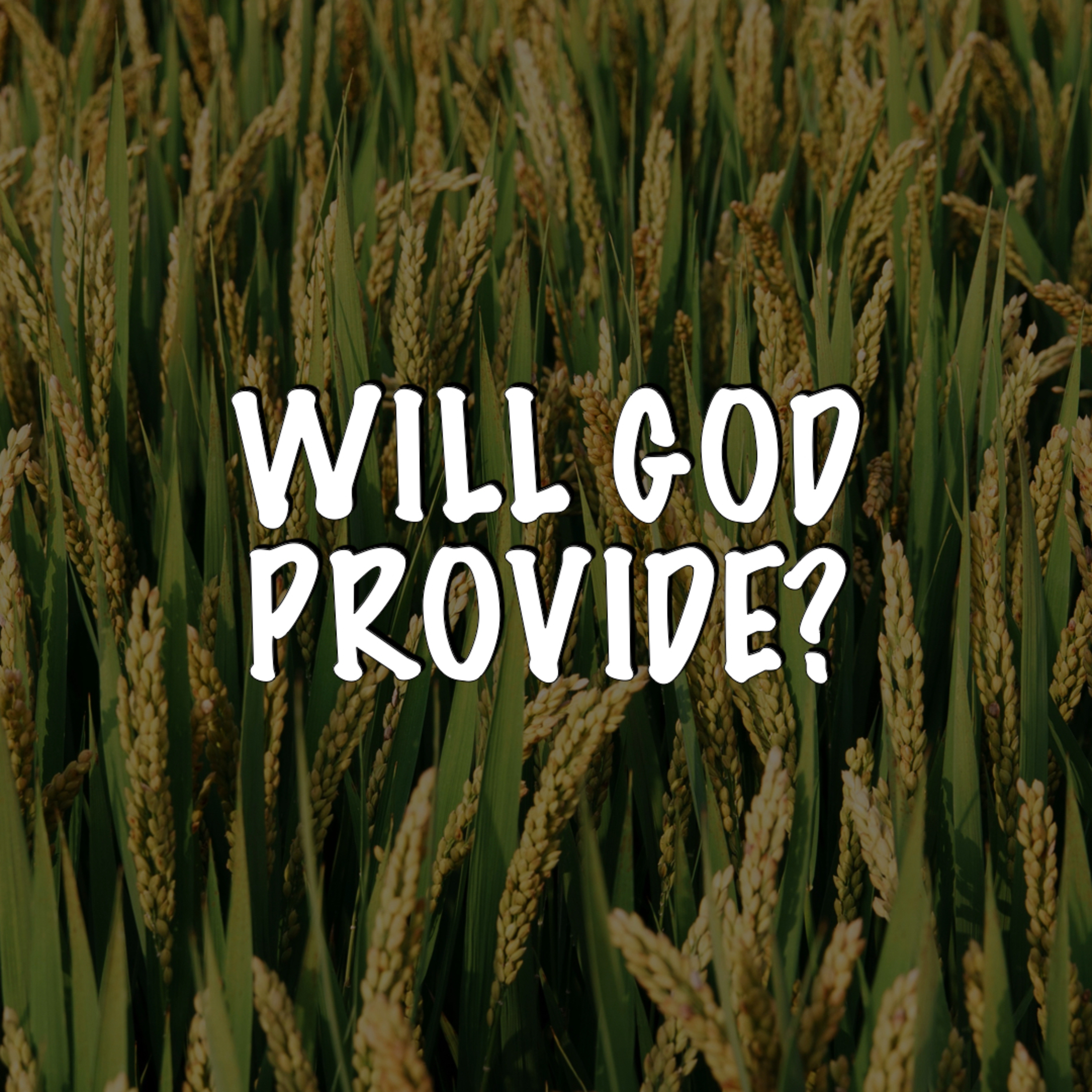 Will God Provide? episode artwork
