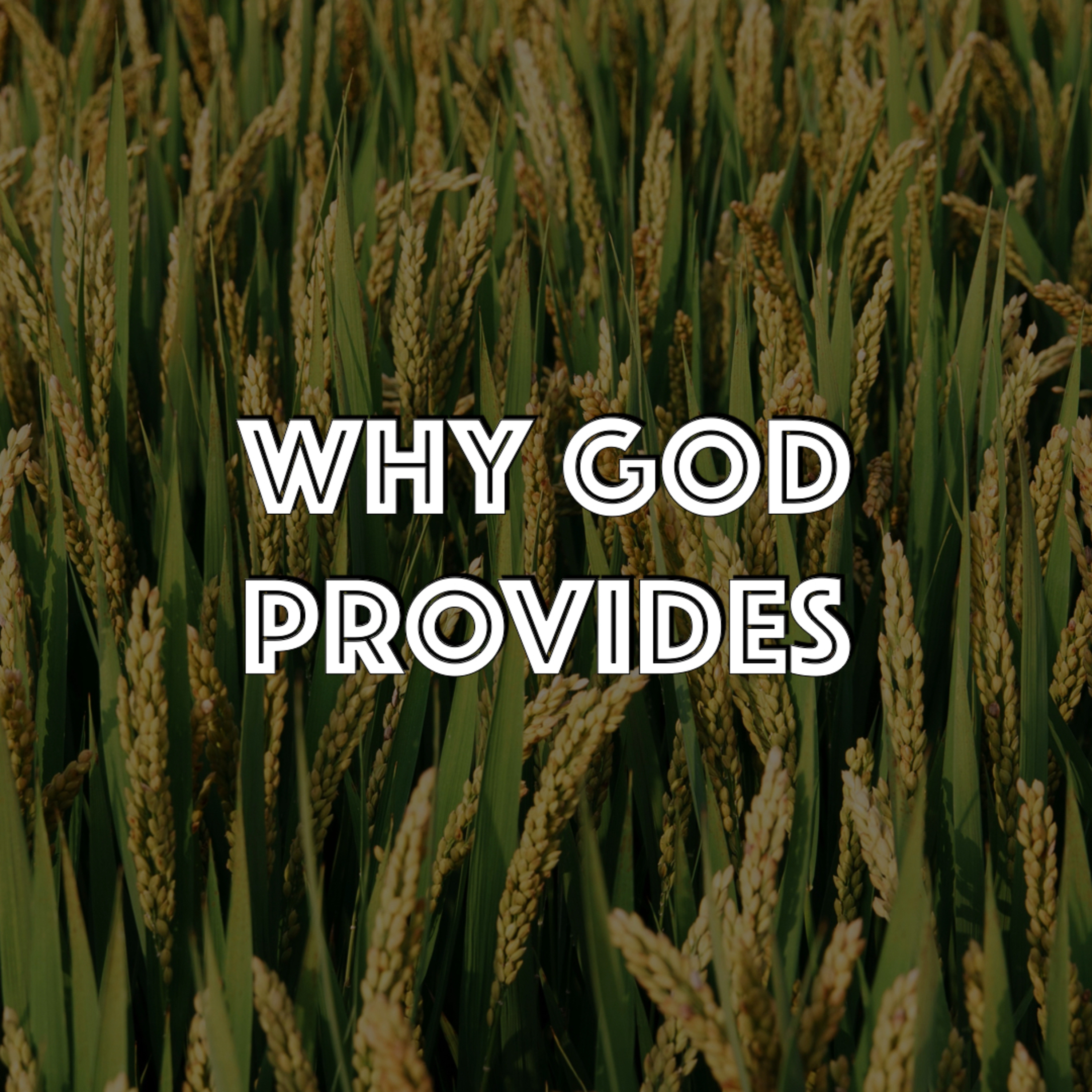 Why God Provides episode artwork