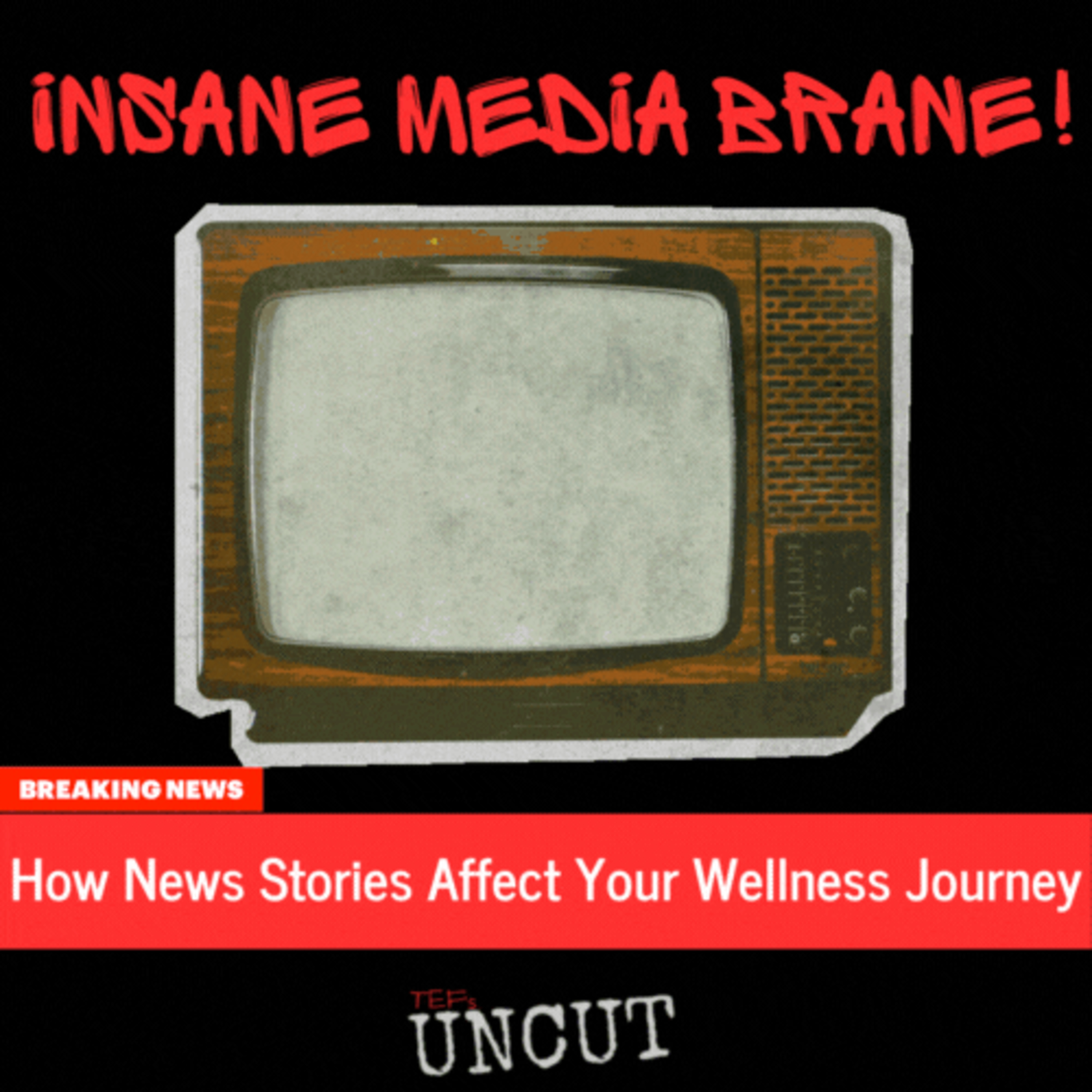 INSANE MEDIA BRANE episode artwork