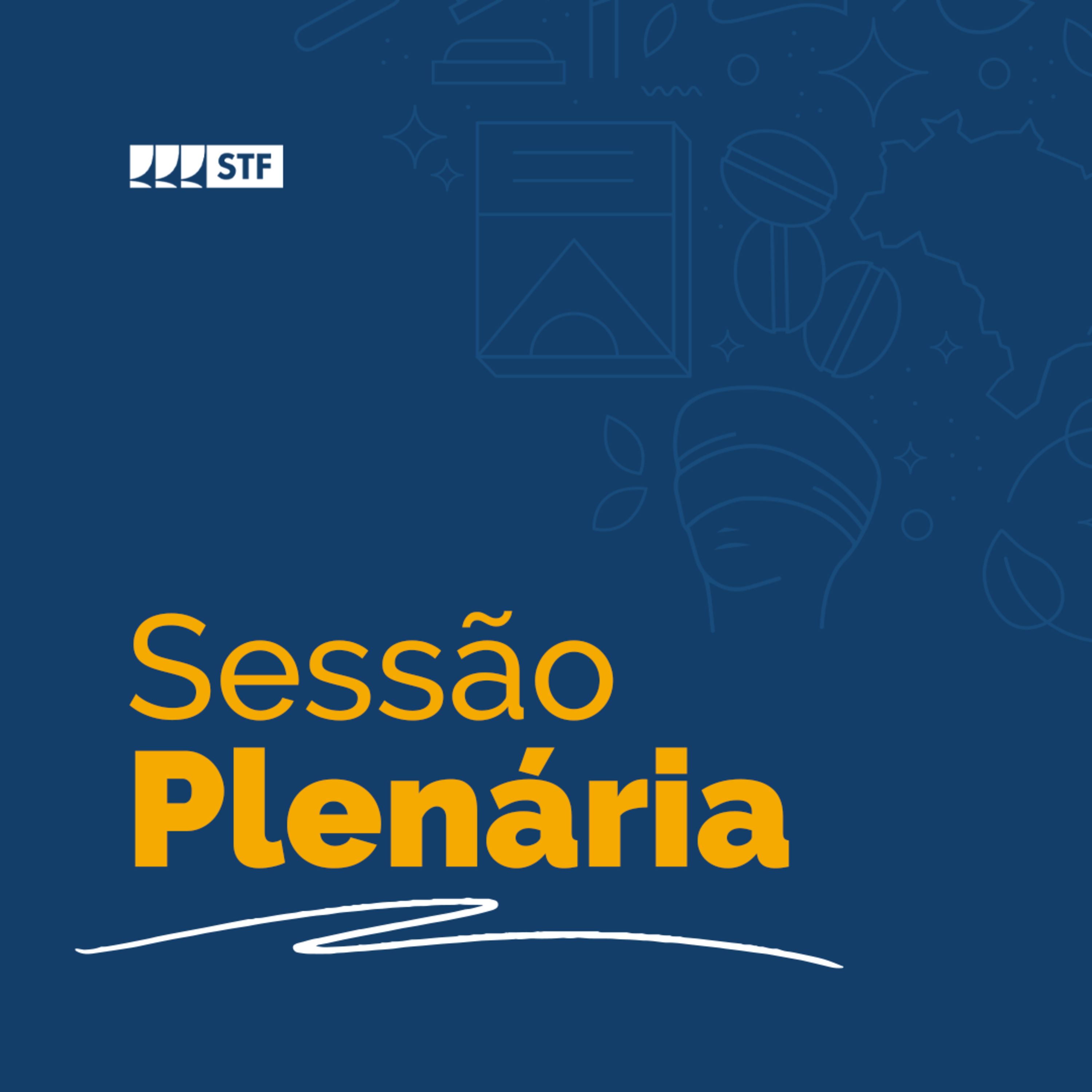 Sessão Plenária - 8/5/2024 episode artwork