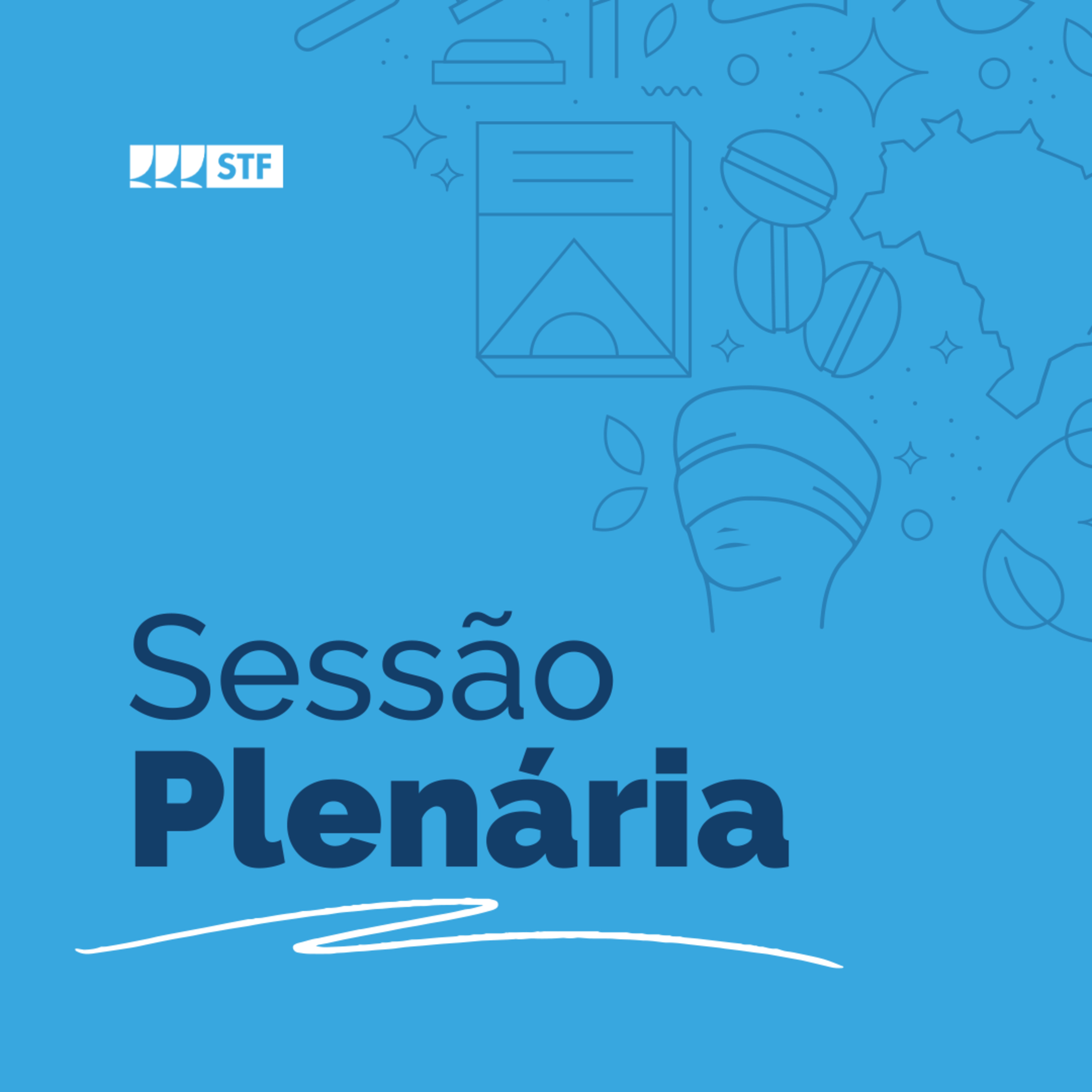 Sessão Plenária - 22/8/2024 episode artwork
