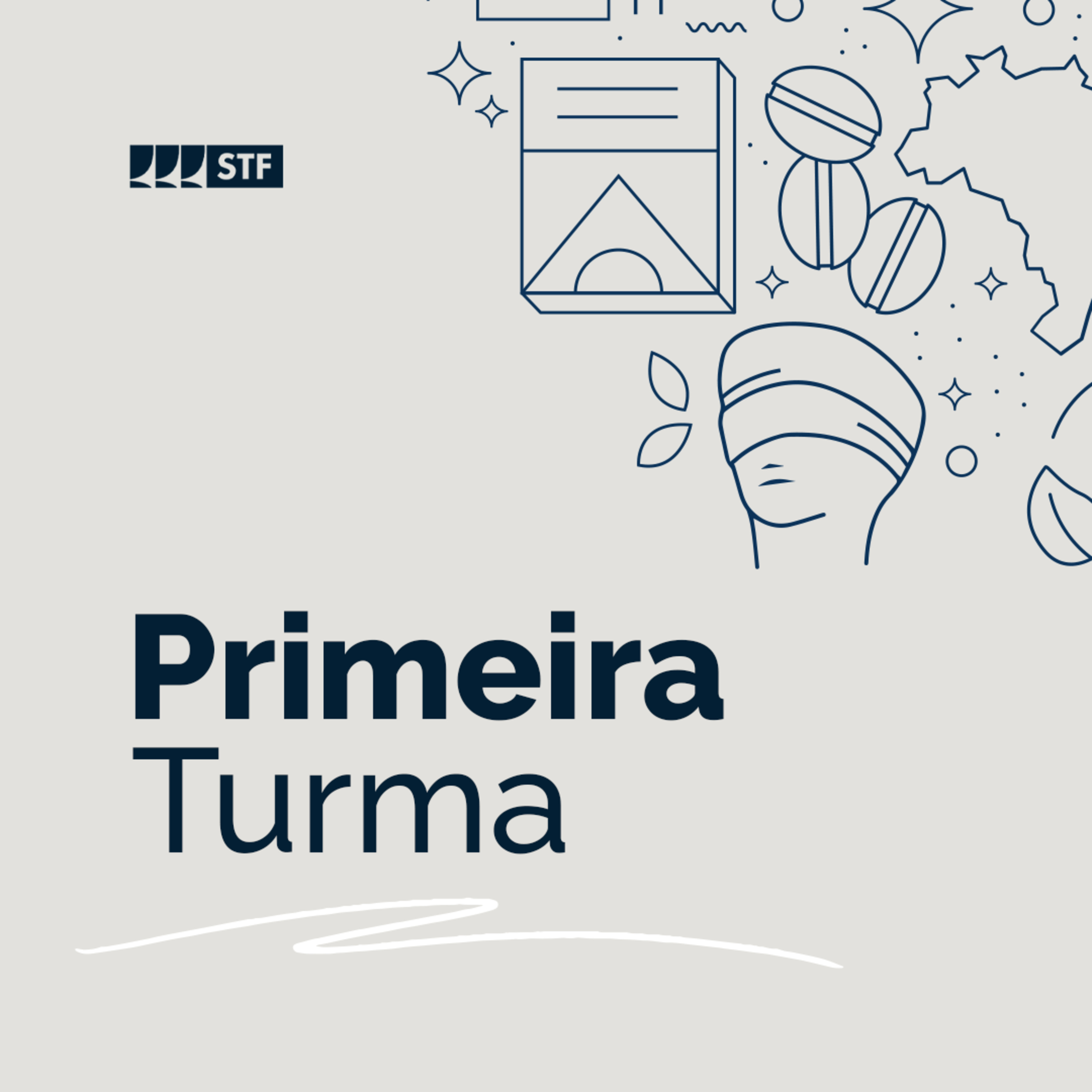 Primeira Turma do STF - 25/2/2025