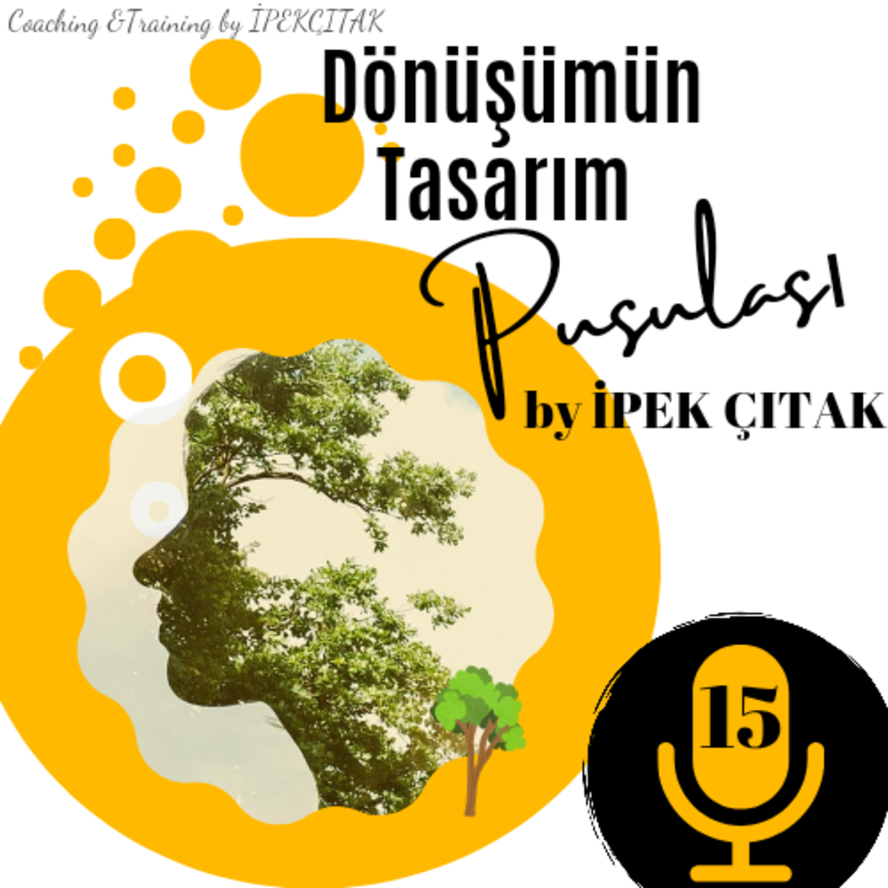 DÖNÜŞÜMÜN TASARIM PUSULASI