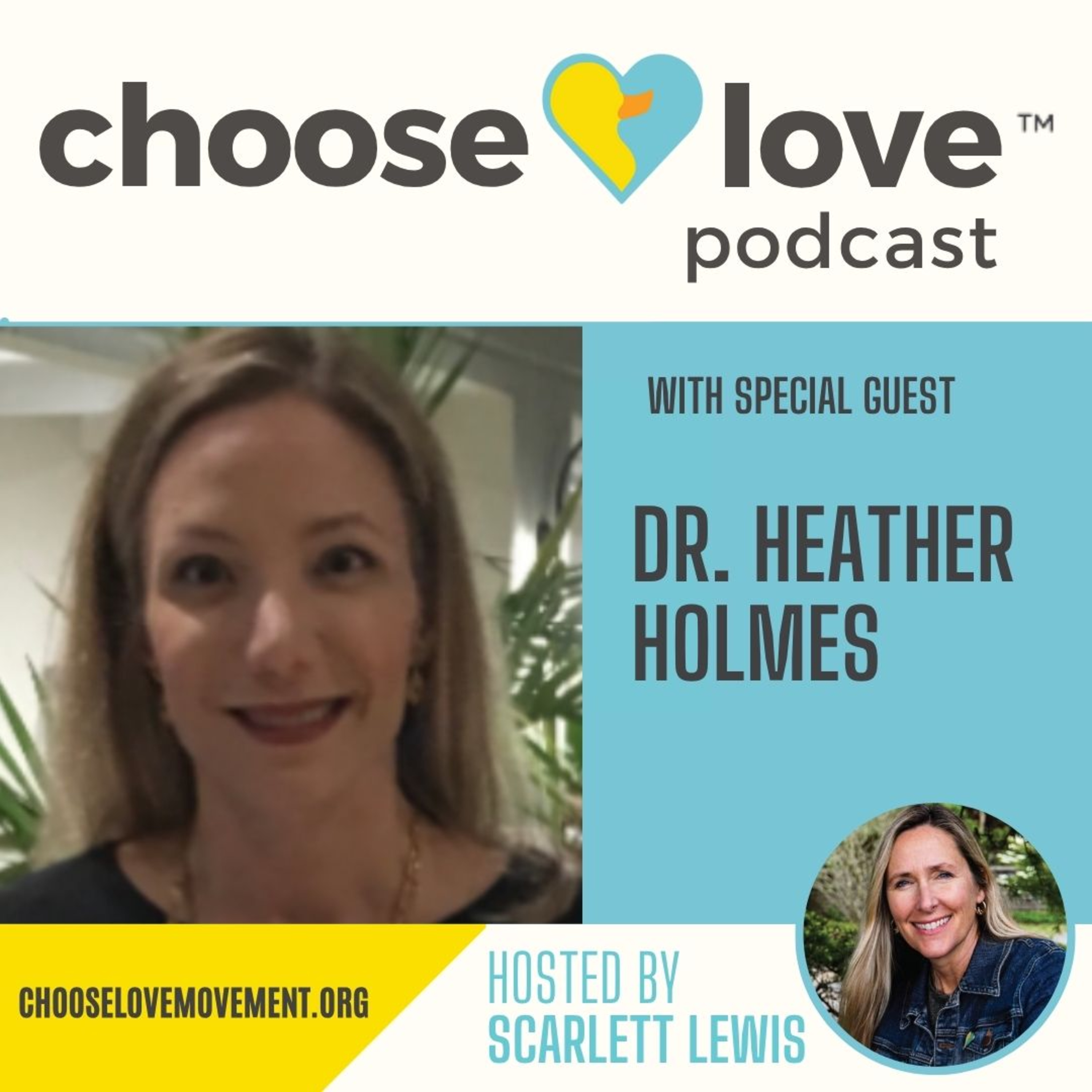 #143 - Dr. Heather Holmes, How have we failed school shooters and what can we do to prevent the next school shooting? episode artwork